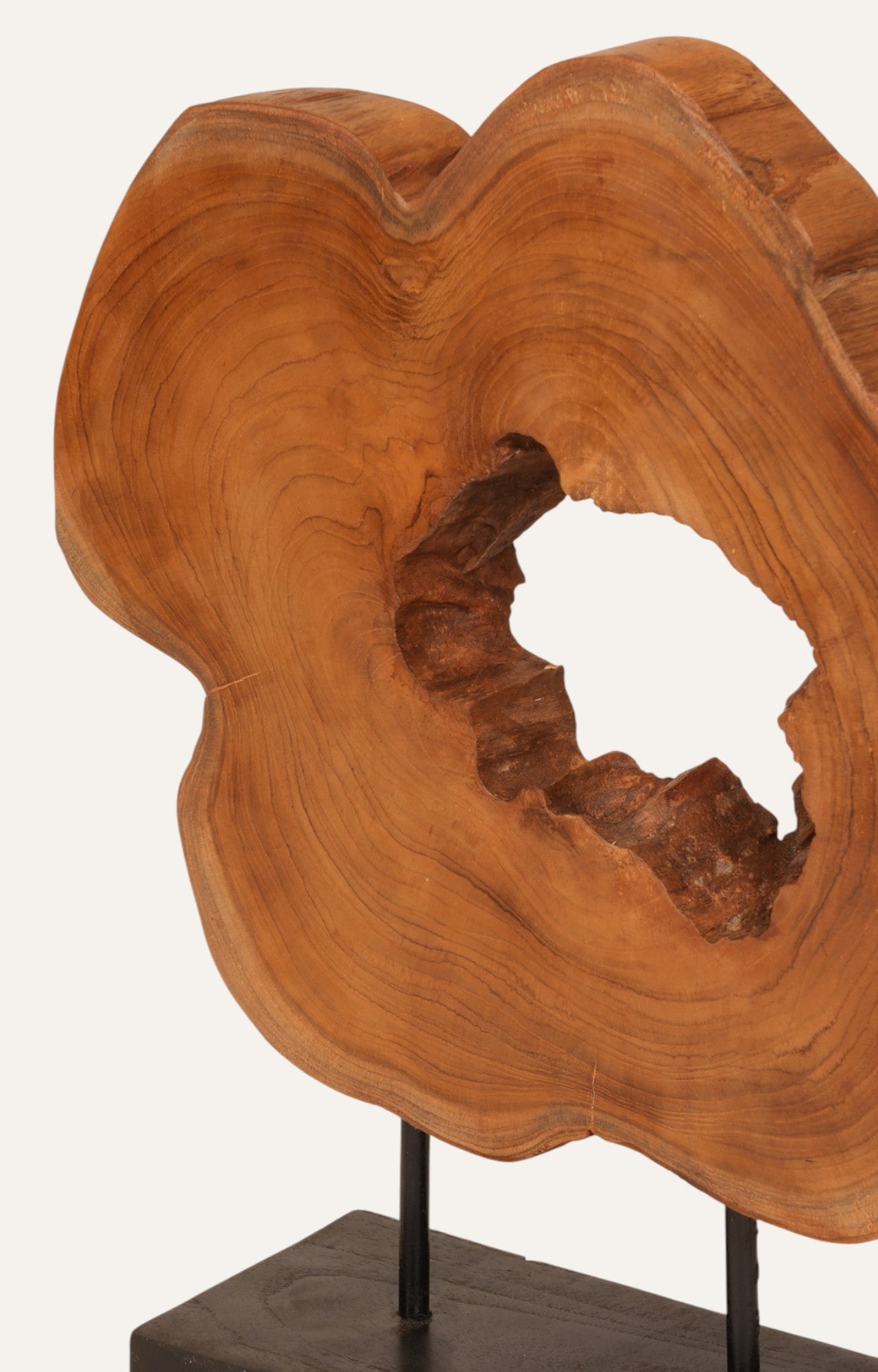 Natural Wood Slice Sculpture