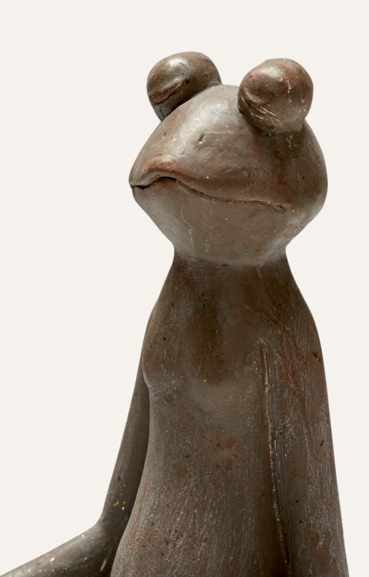 Meditative Yogic Frog