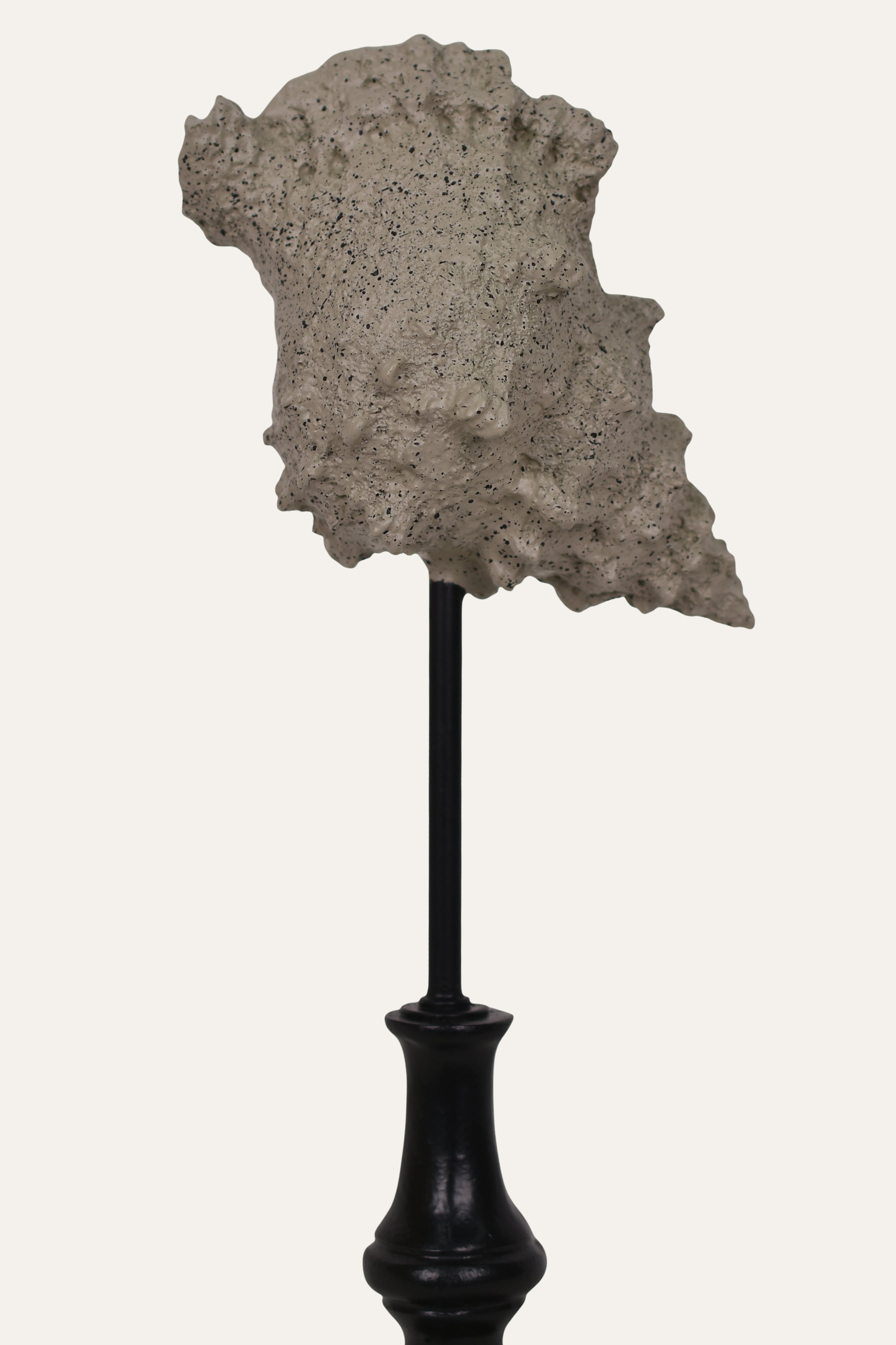 Decorative Marine Fossil Resin Sculpture Set