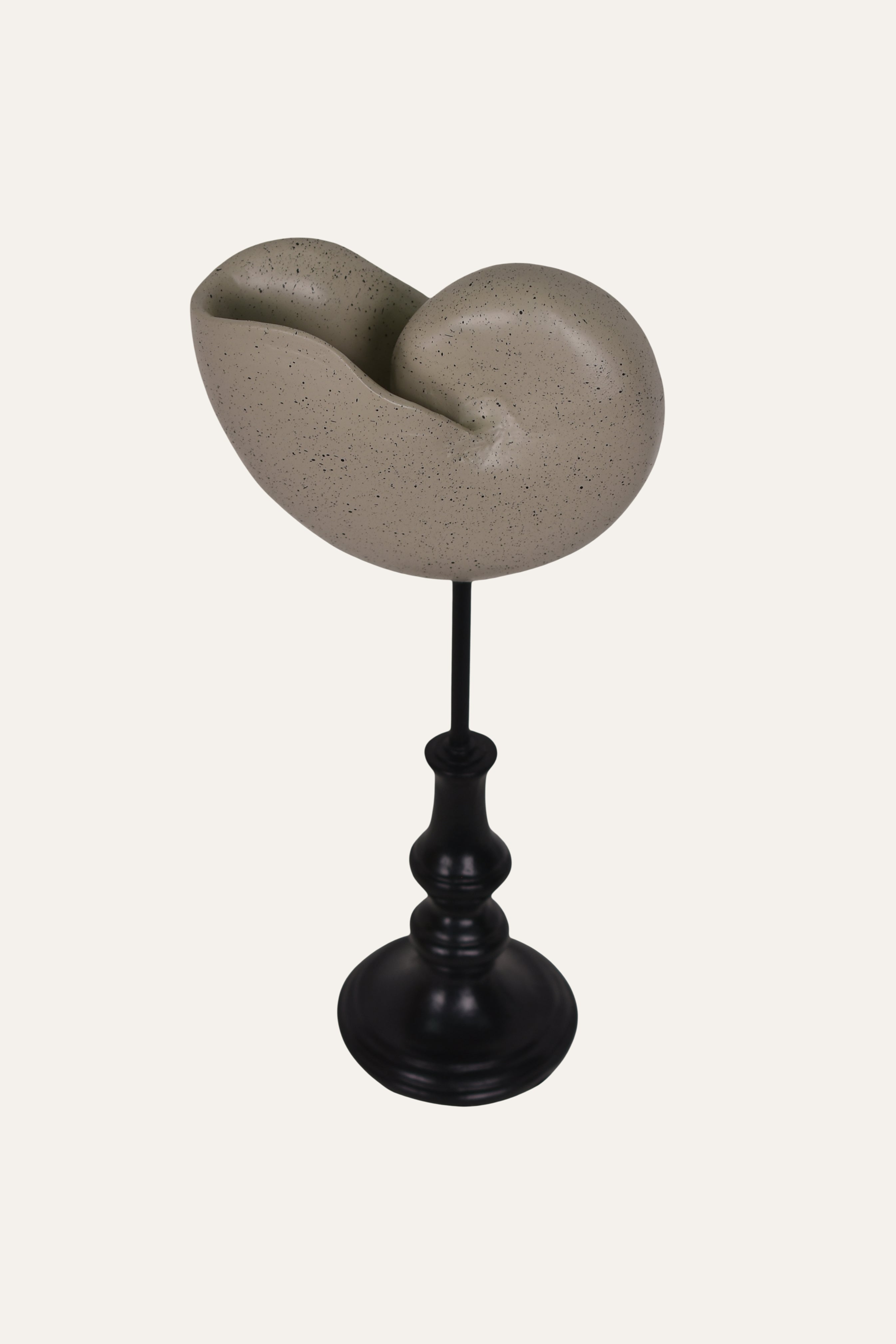 Decorative Marine Fossil Resin Sculpture Set