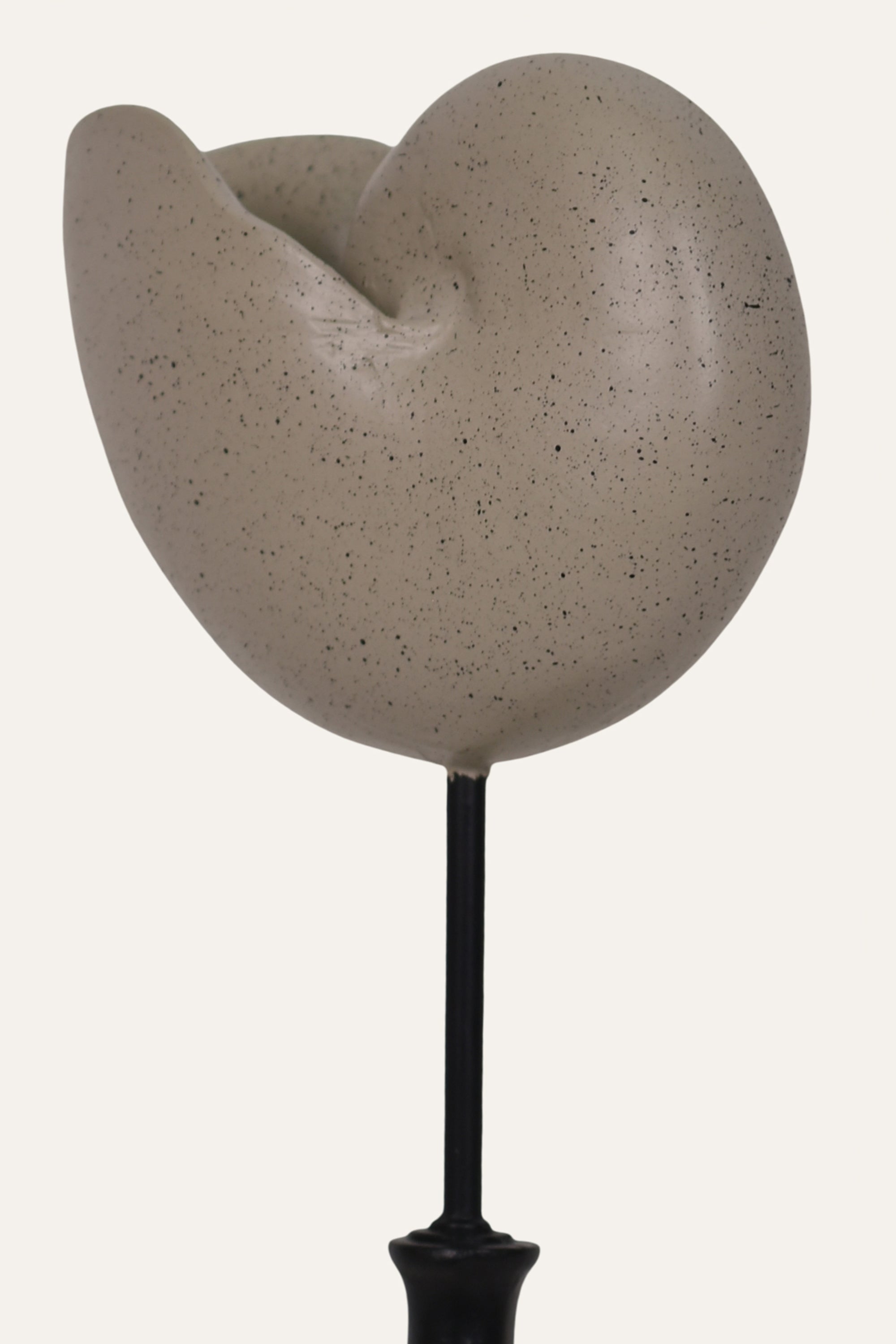 Decorative Marine Fossil Resin Sculpture Set