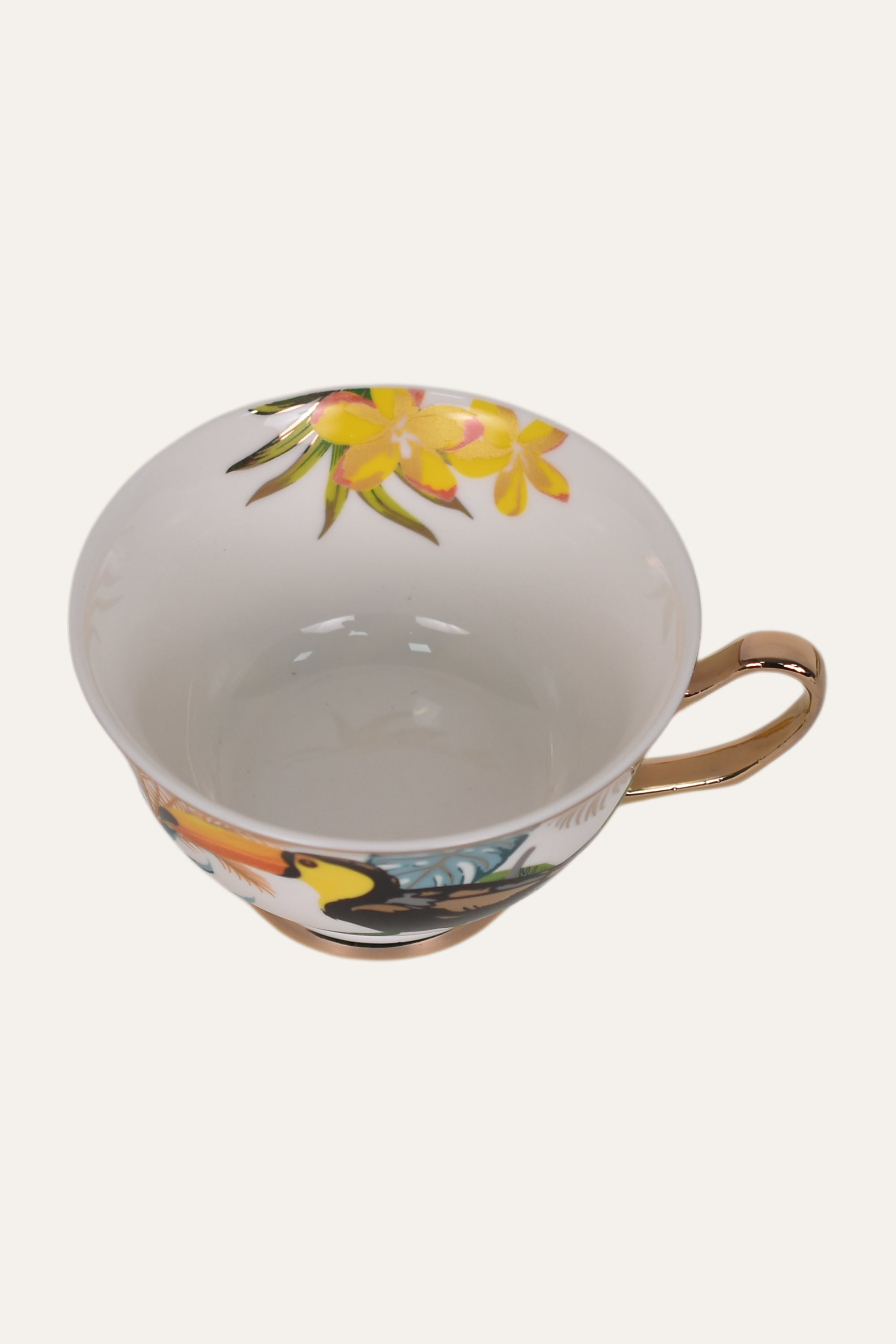 Tropical Bird Hand-Painted Porcelain Cup & Saucer Set with Gold Handle – Artisan Tea & Coffee Cup