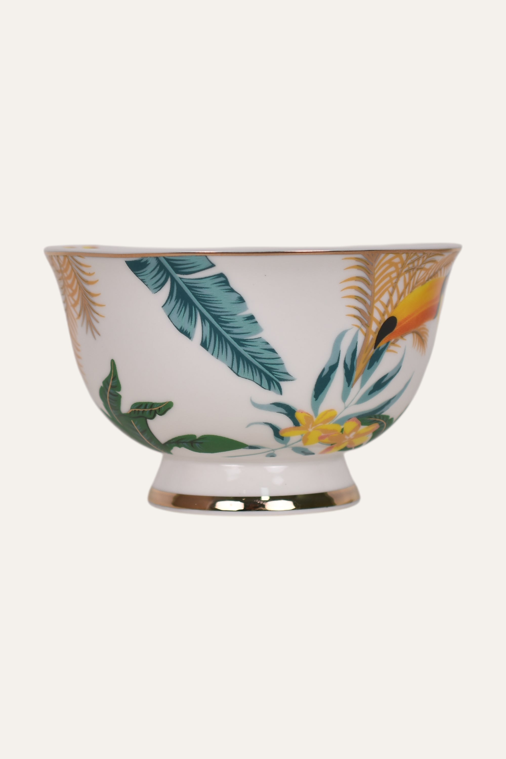 Tropical Bird Hand-Painted Porcelain Cup & Saucer Set with Gold Handle – Artisan Tea & Coffee Cup