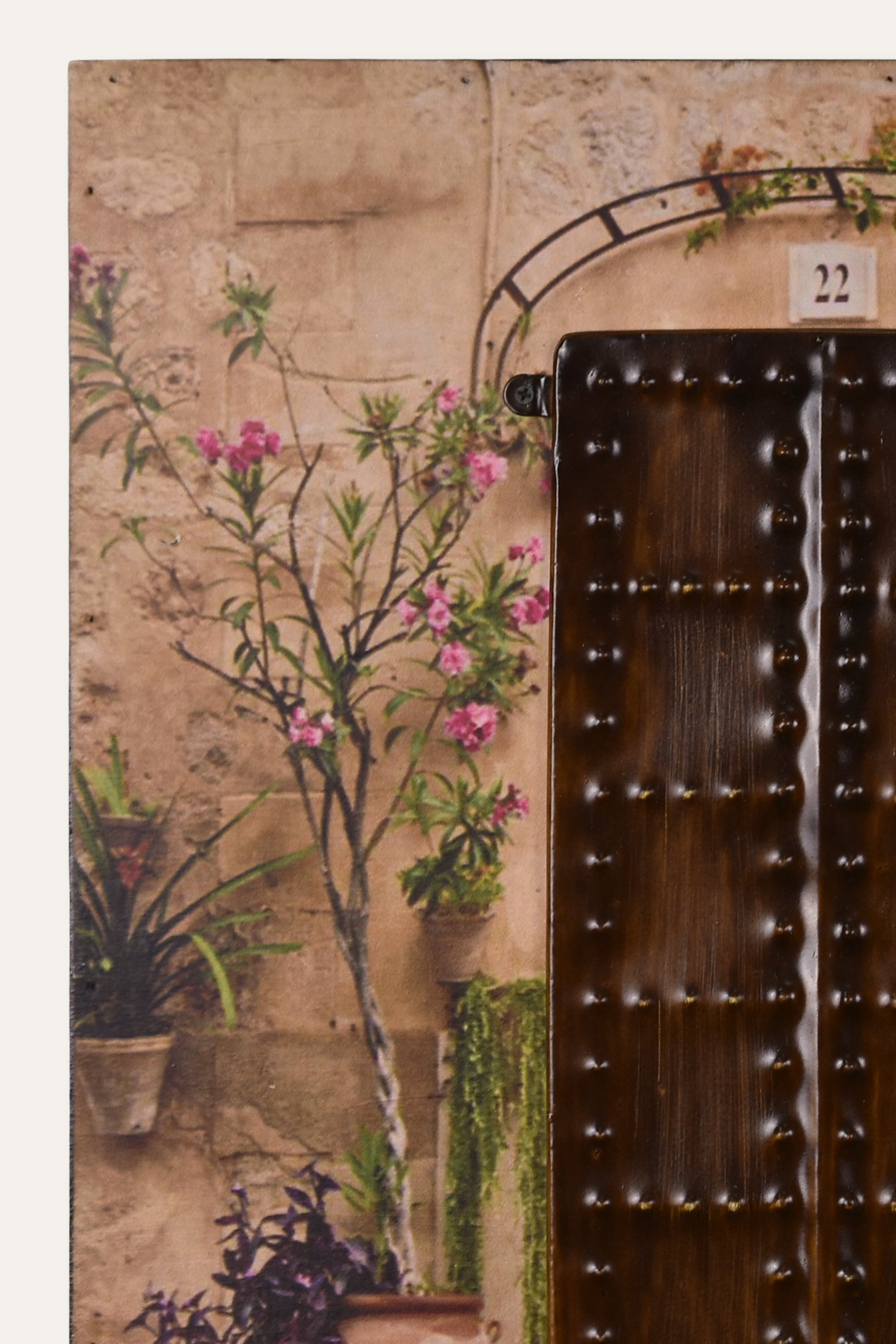 Rustic Wooden Door Wall Art