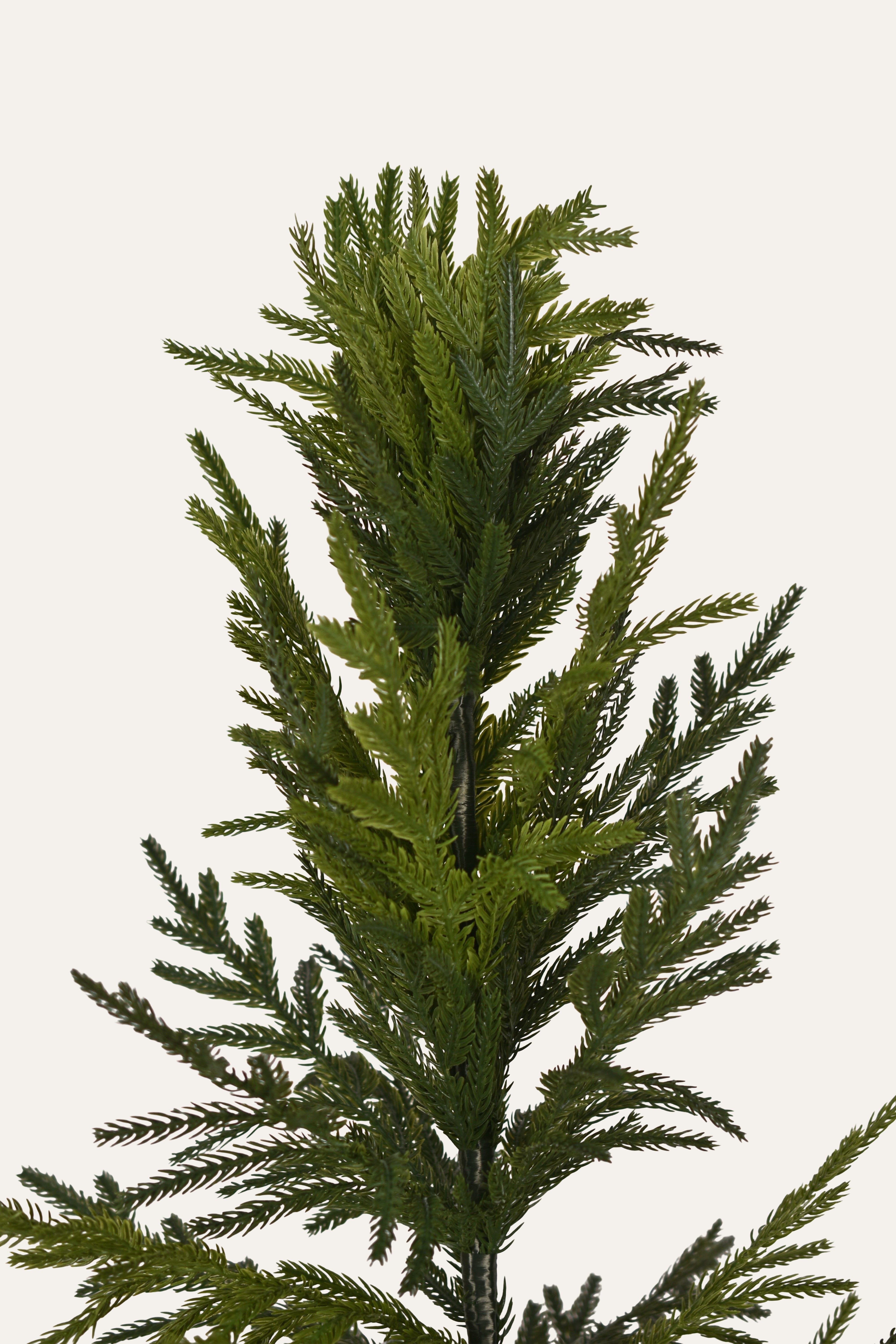 Evergreen Calm Artificial Mini Pine Plant