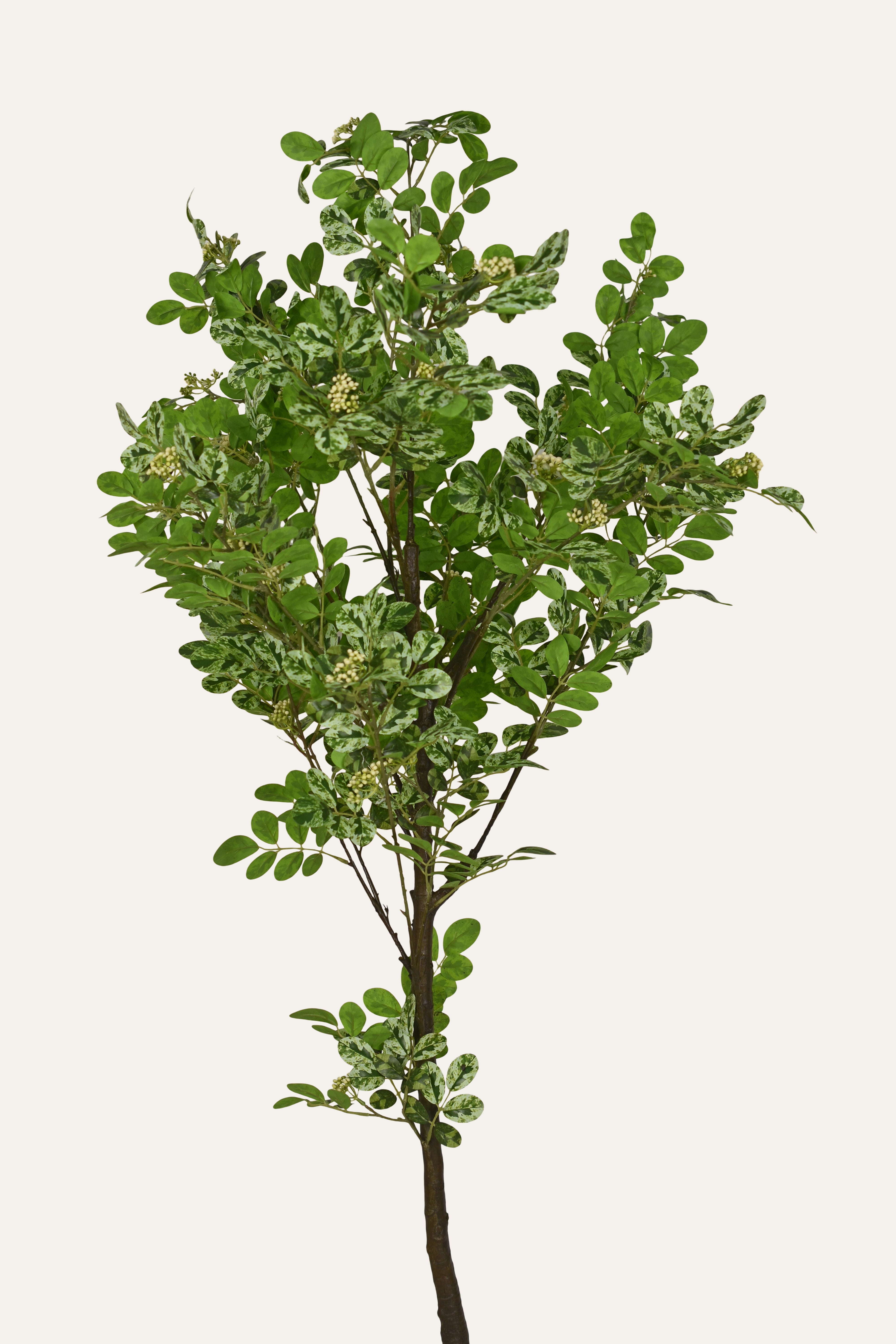 Verdant Mini Artificial Foliage Plant