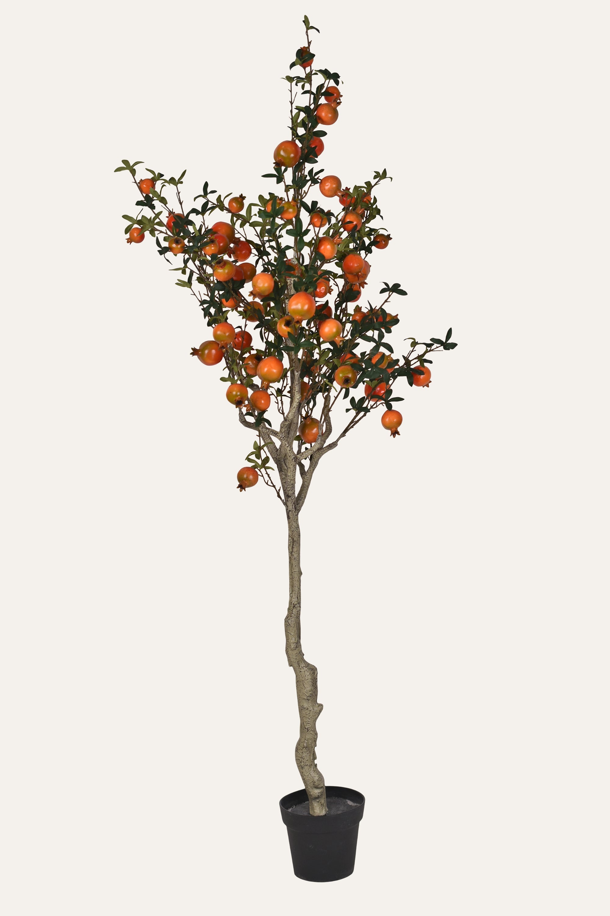 Citrus Elegance Artificial Pomelo Plant