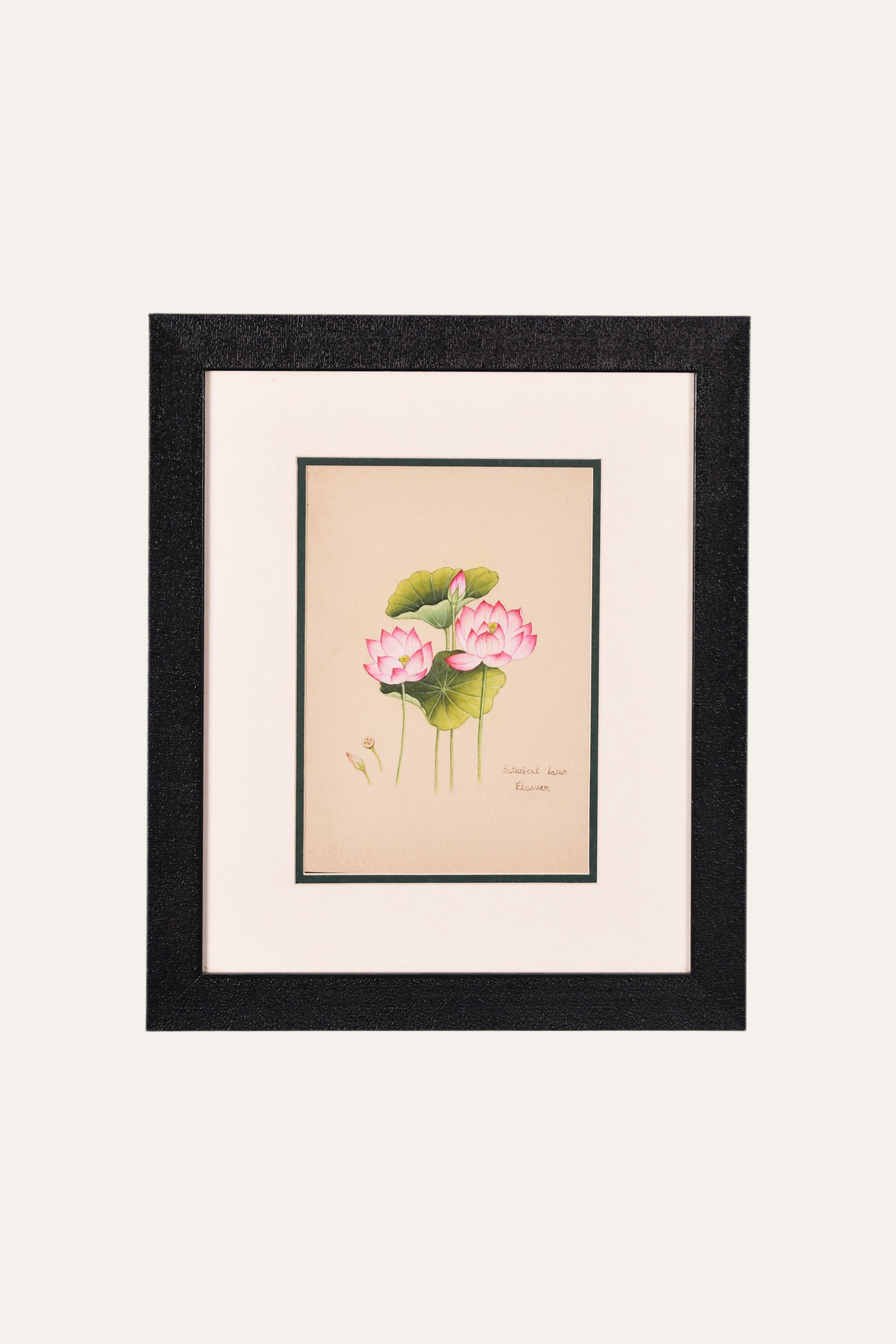 Pink Lotus Miniature Painting