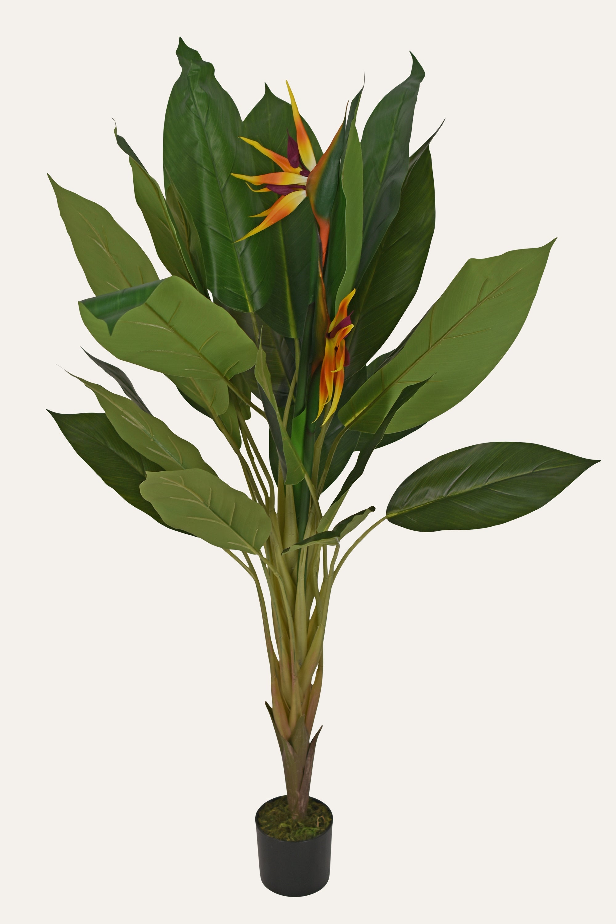 Tropic Flame Artificial Bird of Paradise Plant