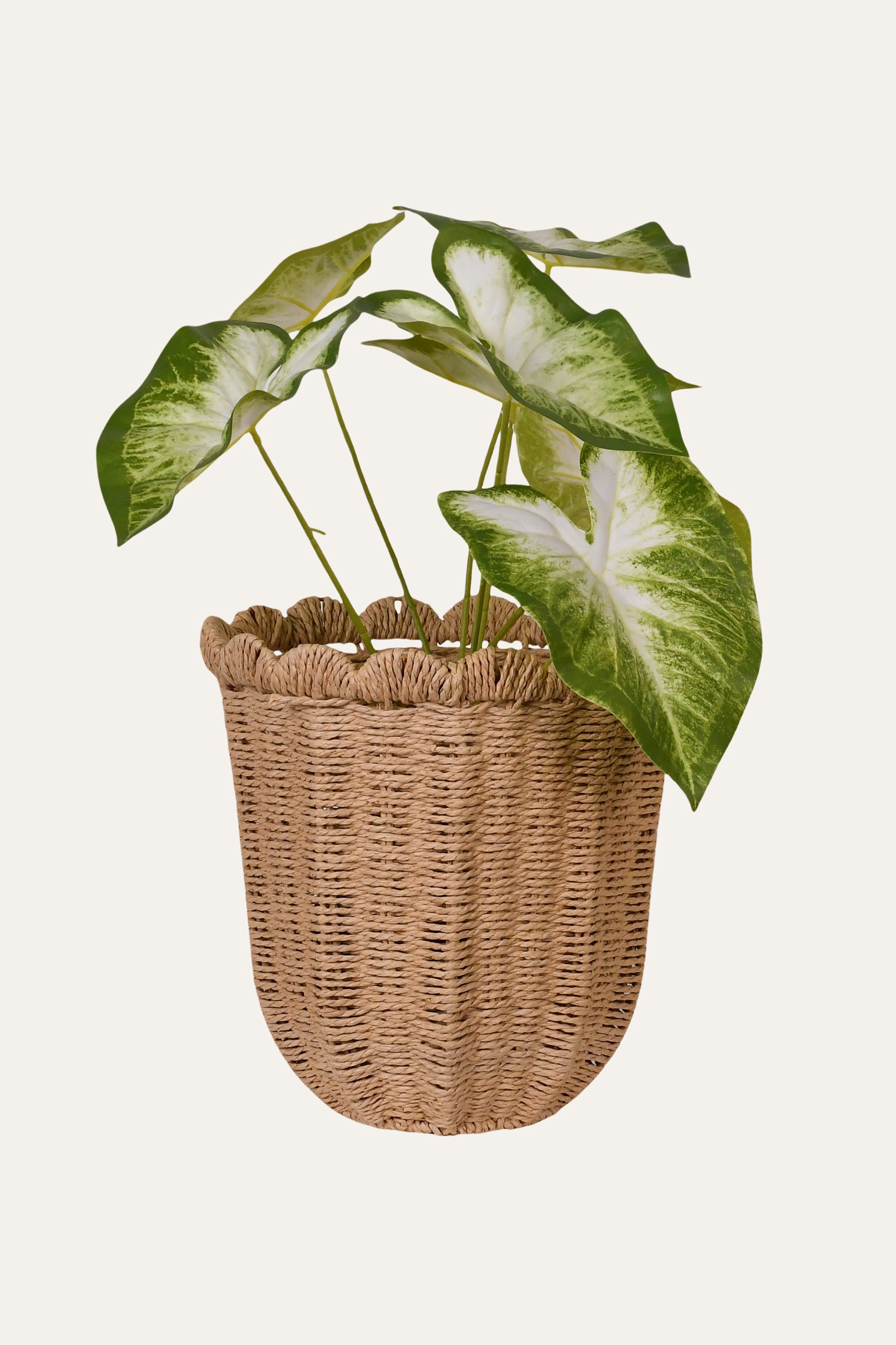 Scalloped Rim Woven Planter - Big