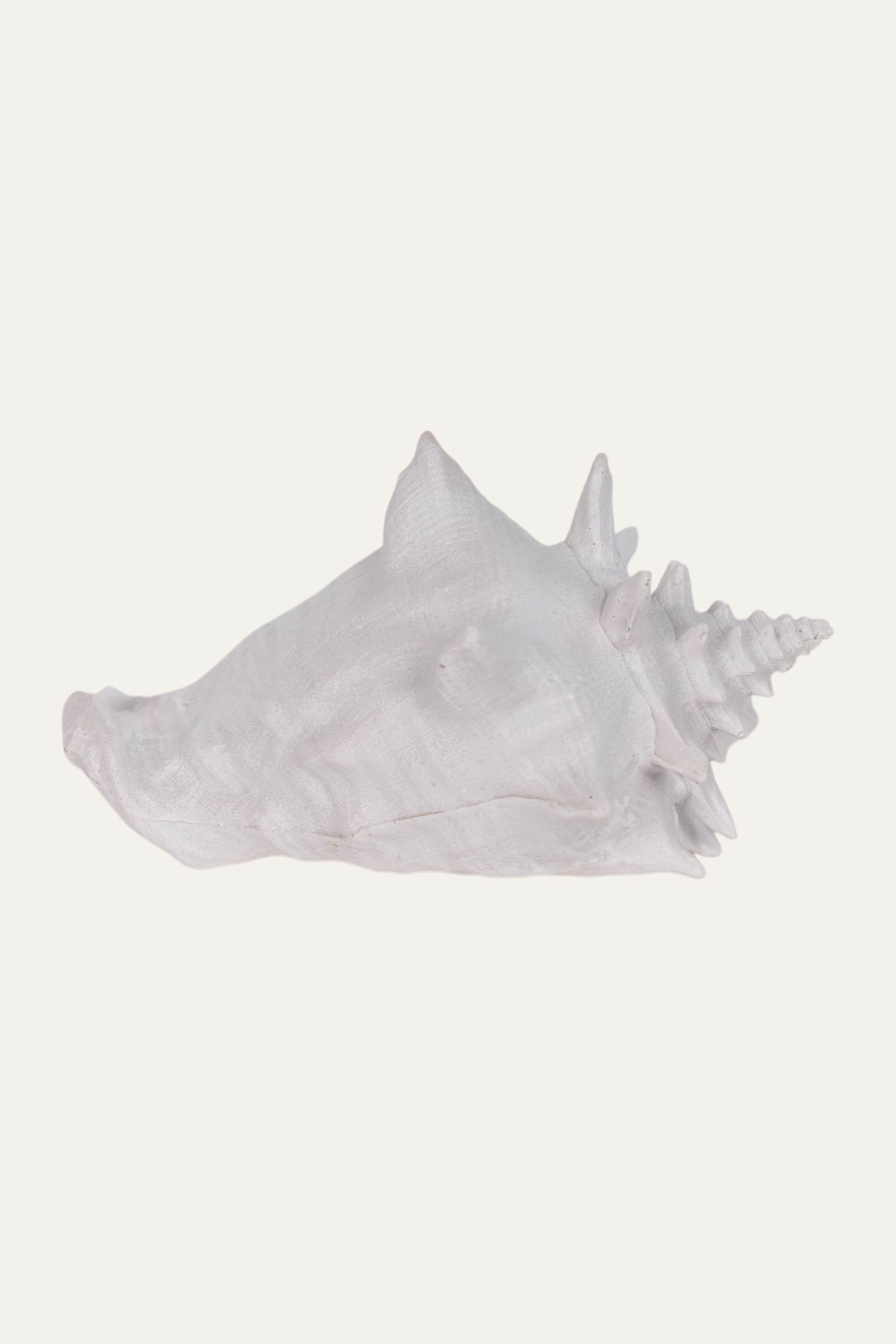 Decorative White Resin Conch Shell Sculpture Coastal Table Décor