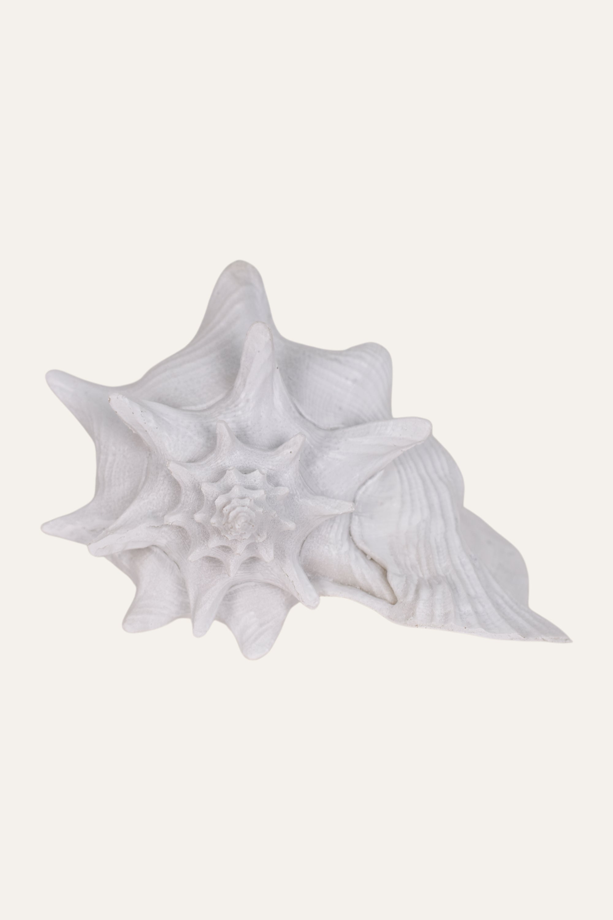 Decorative White Resin Conch Shell Sculpture Coastal Table Décor