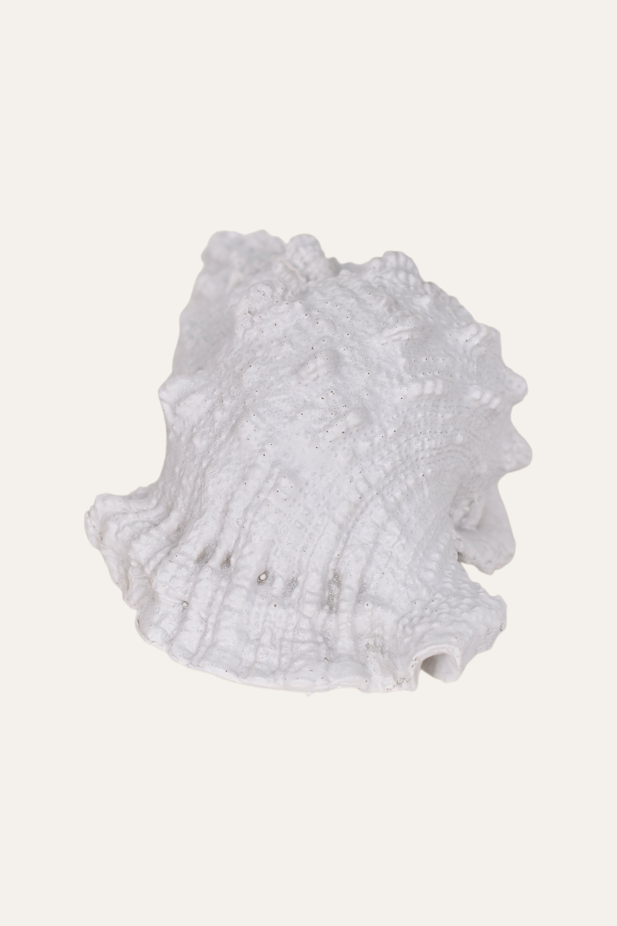 Decorative White Resin Sea Shell Sculpture Coastal Table Décor