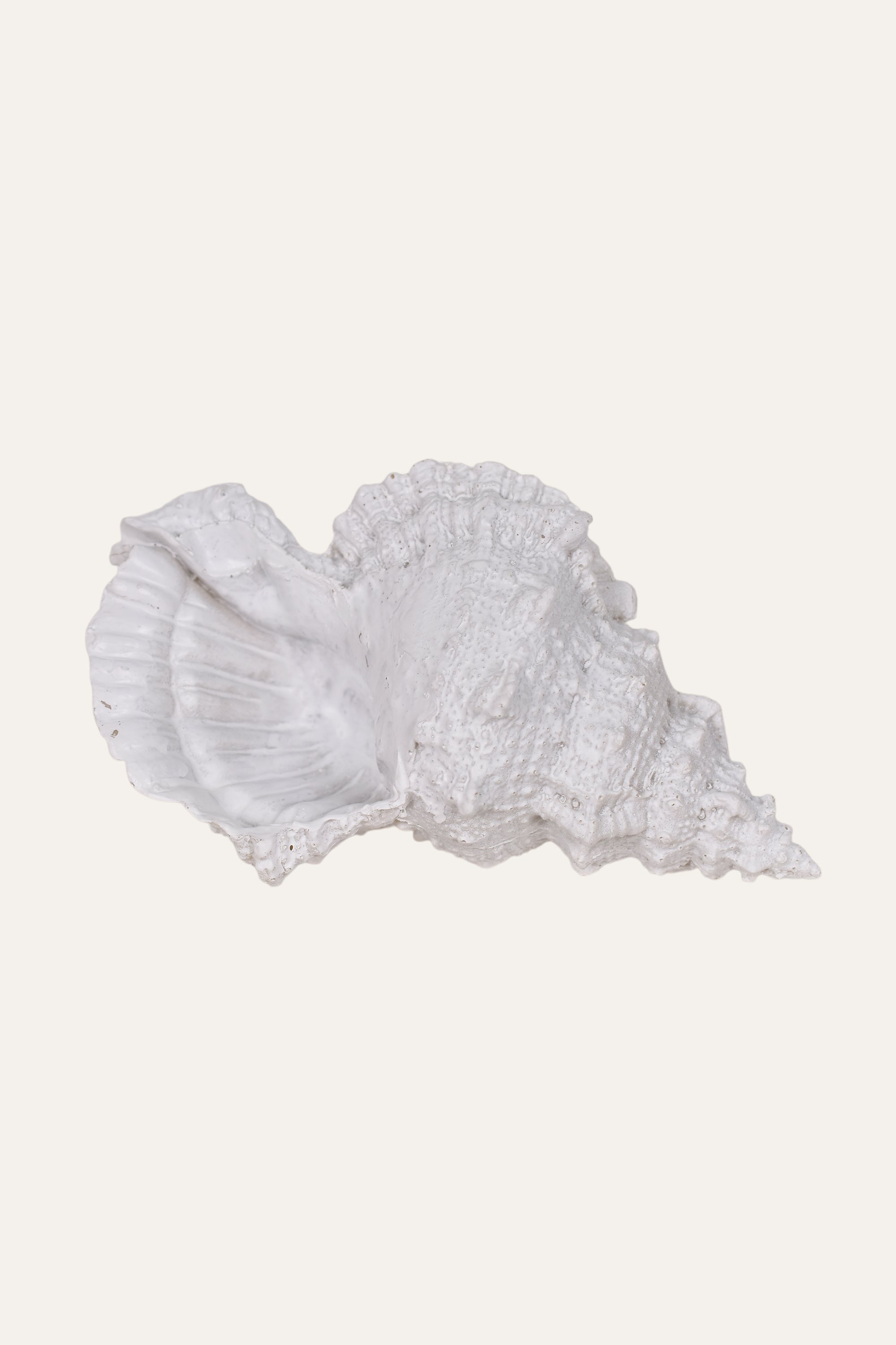 Decorative White Resin Sea Shell Sculpture Coastal Table Décor