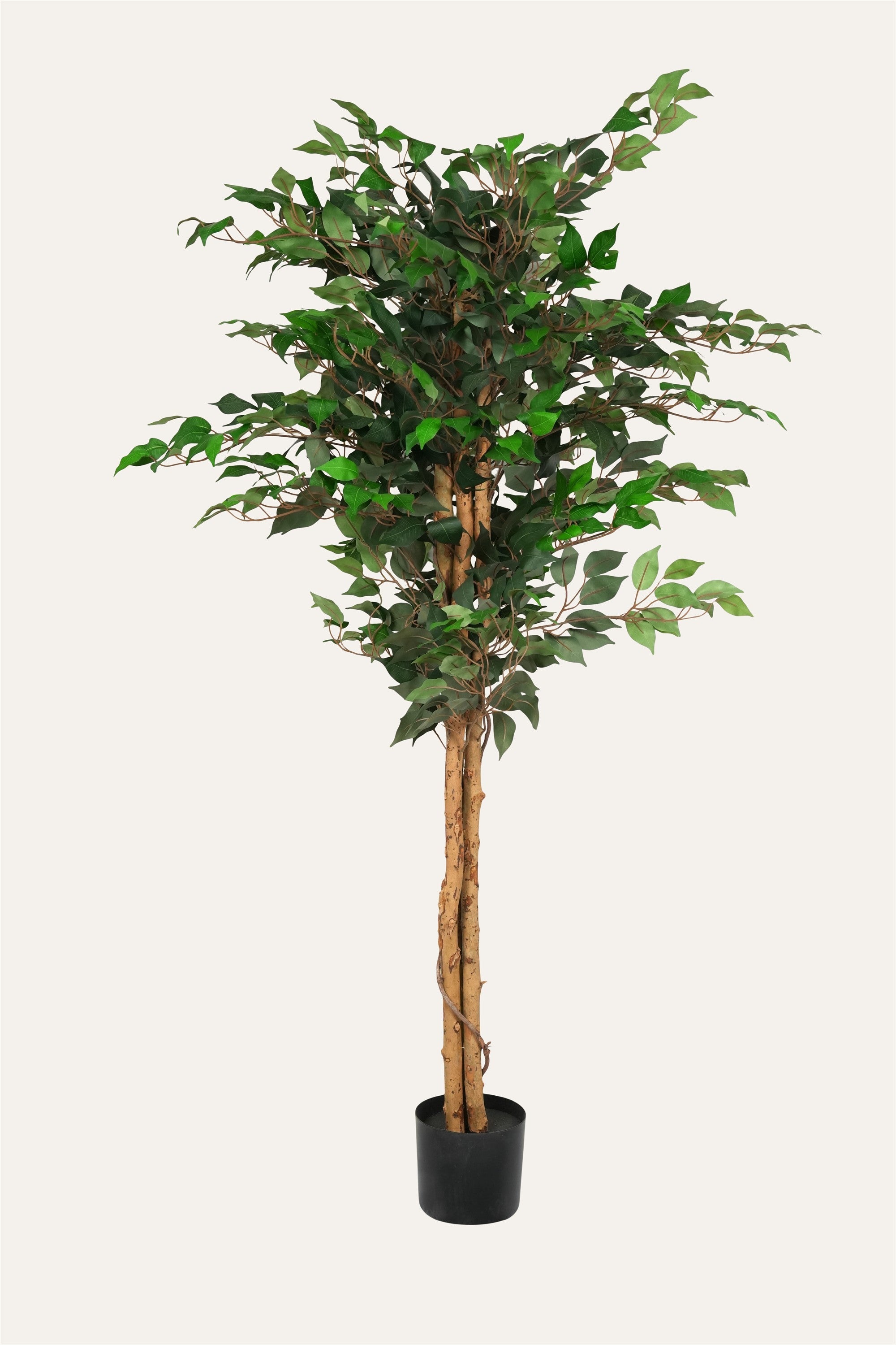 Decorative Ficus Plant artificial tree