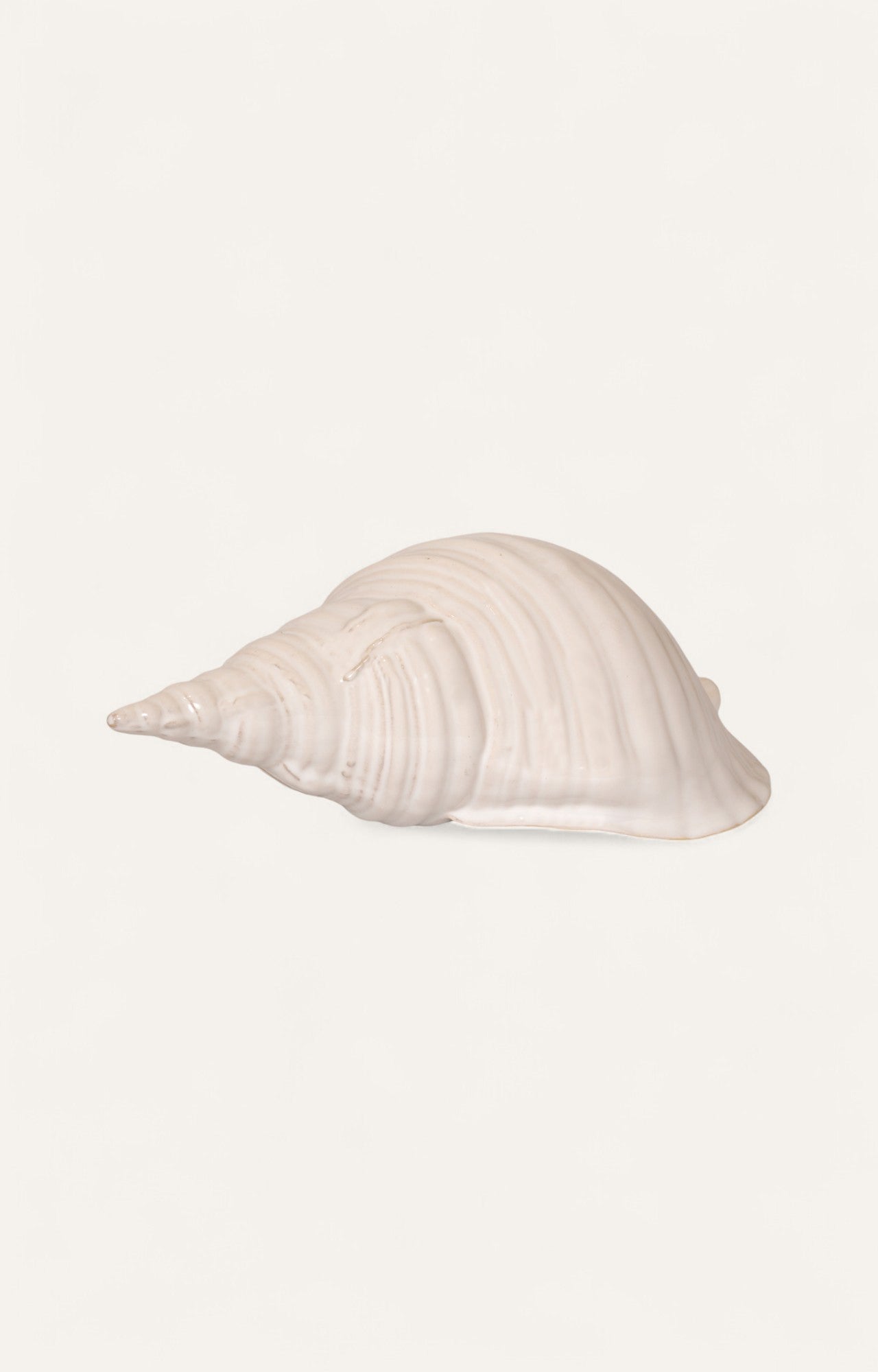 Decorative Shankh For Home