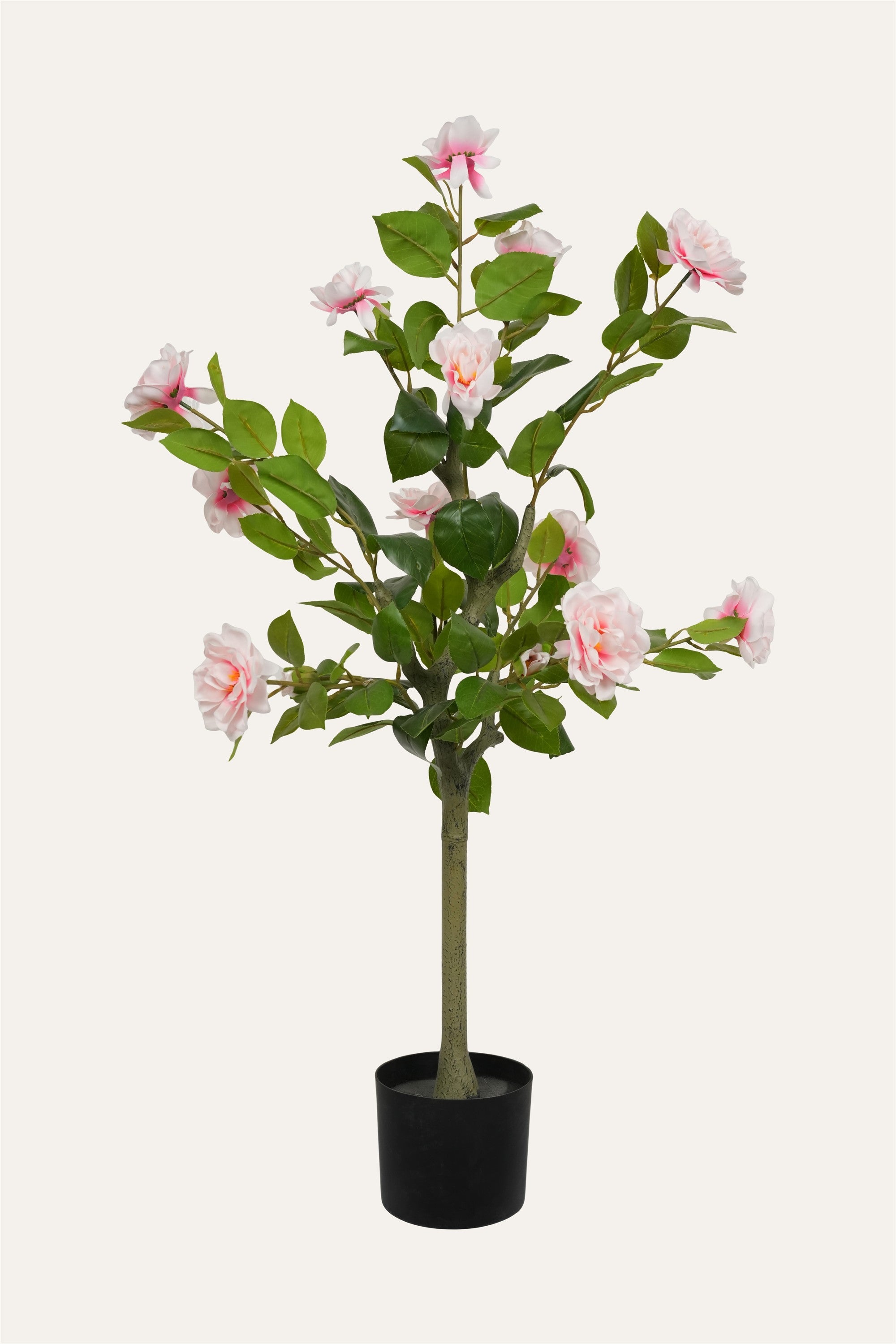 Decorative pink blossom plant