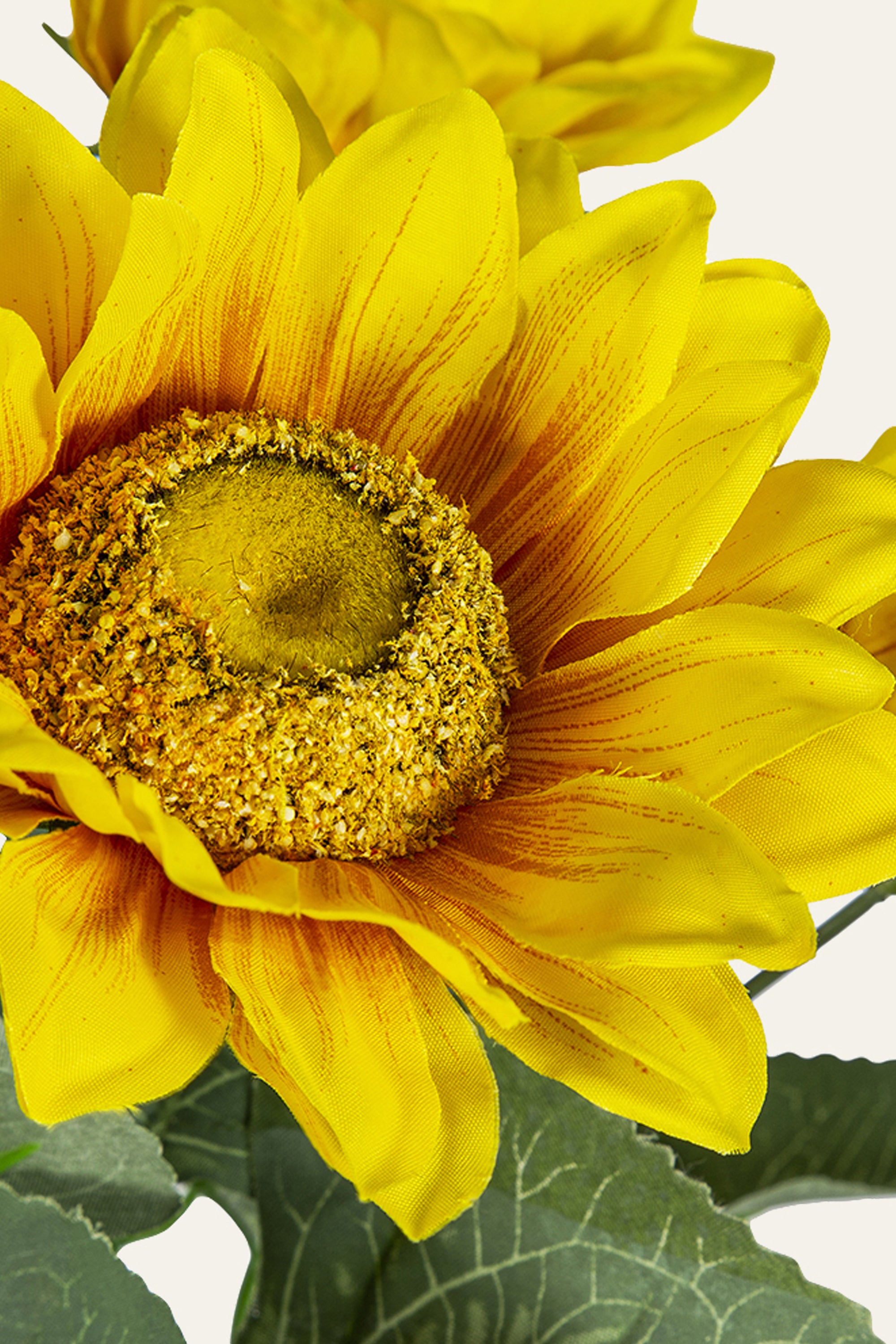Yellow Sunflower Flower Bunch