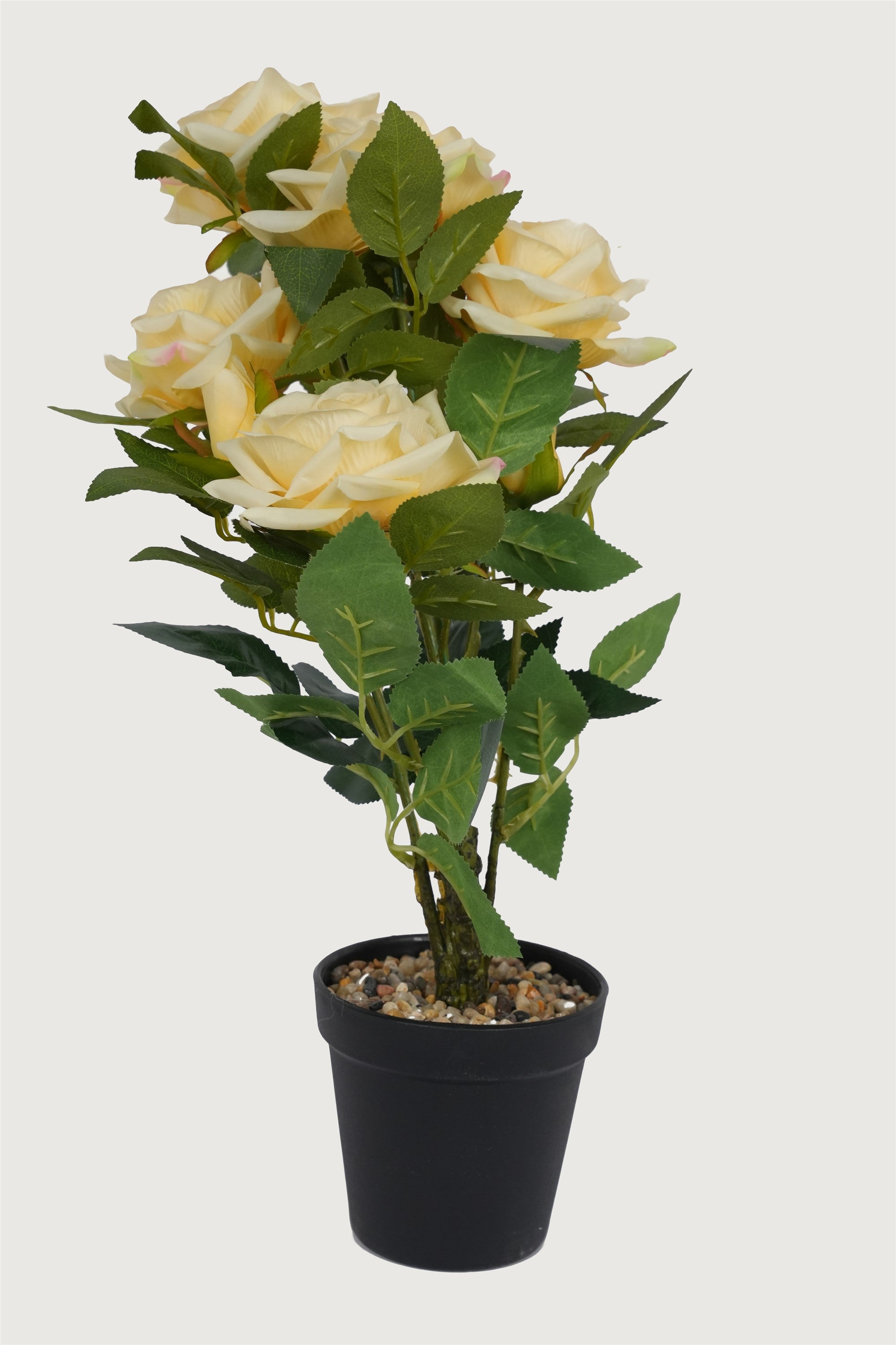 Elegant cream vase flowers