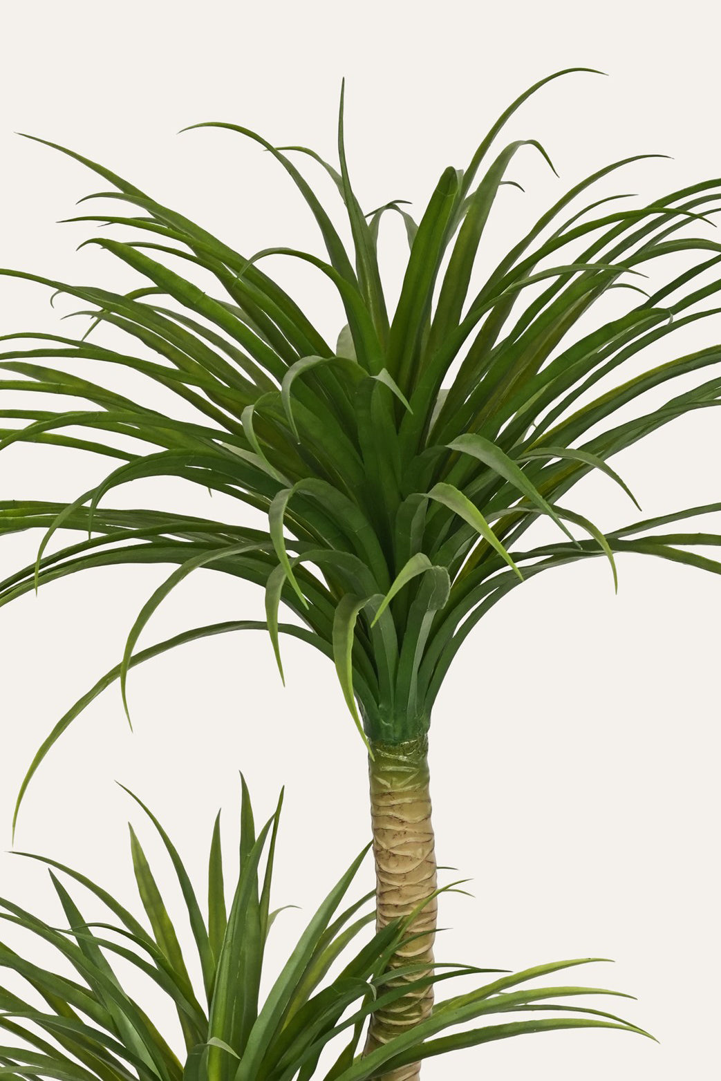 Faux dracaena tree with twin stems