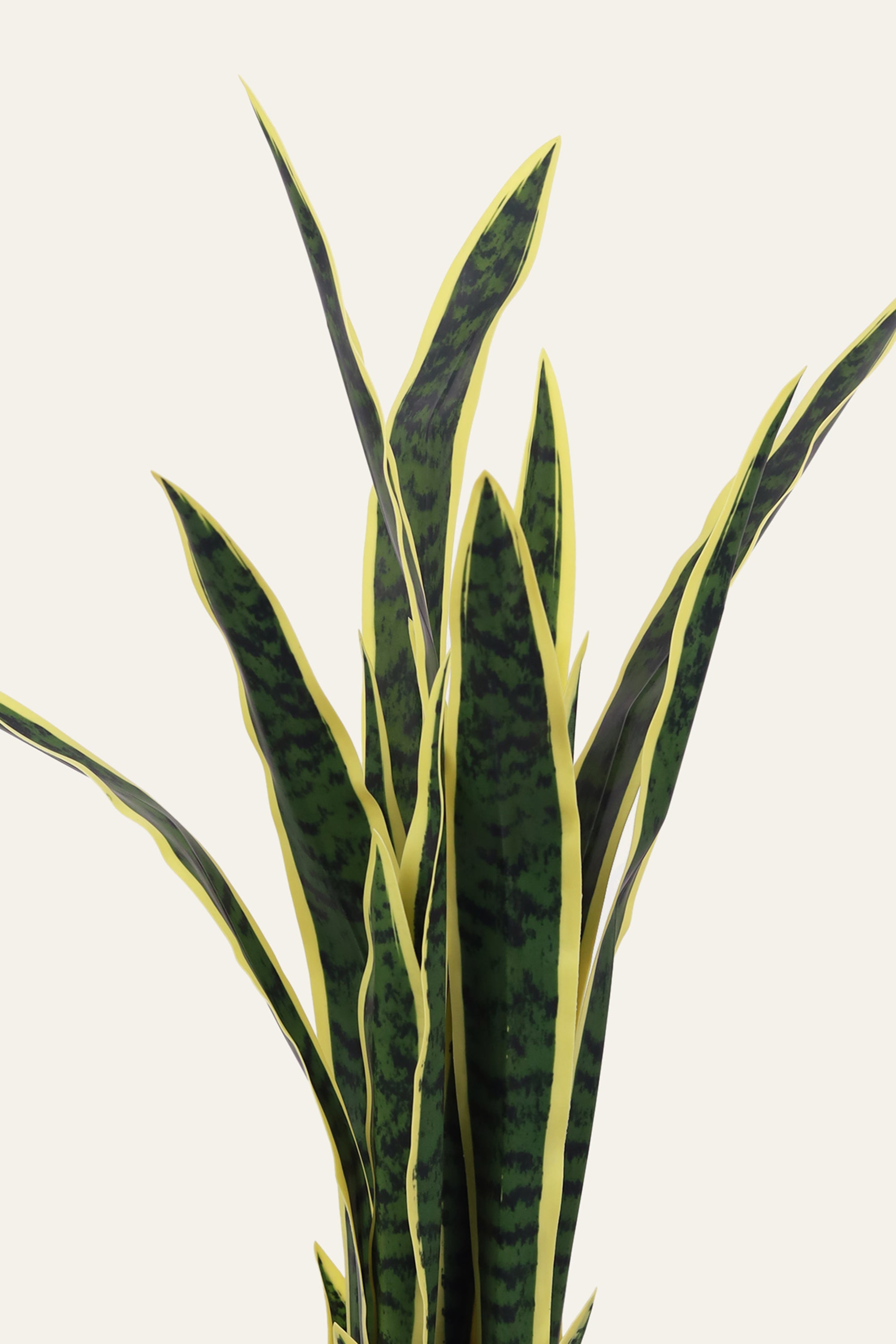 Faux sansevieria plant for modern interiors