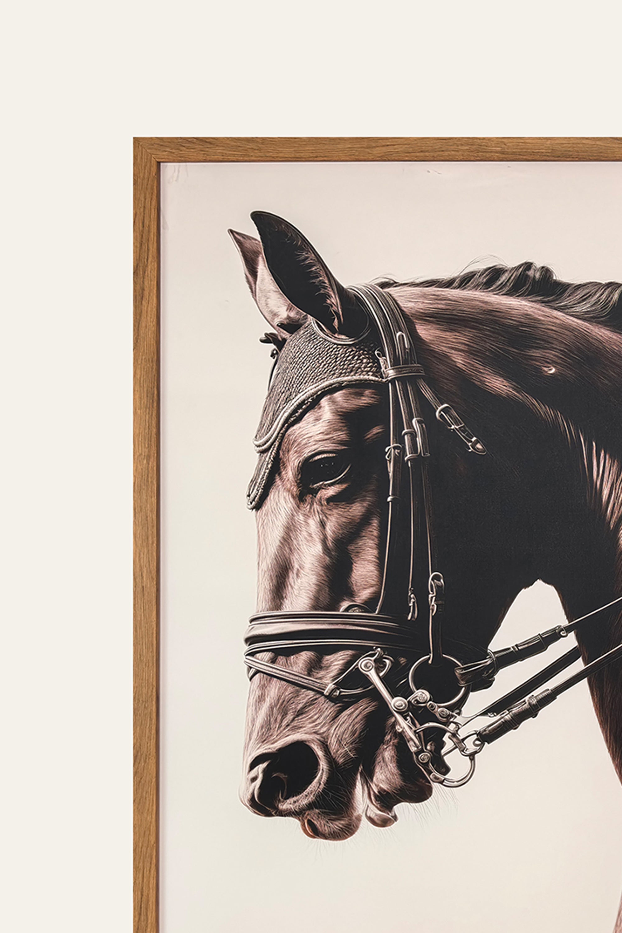 Framed artwork of a horse