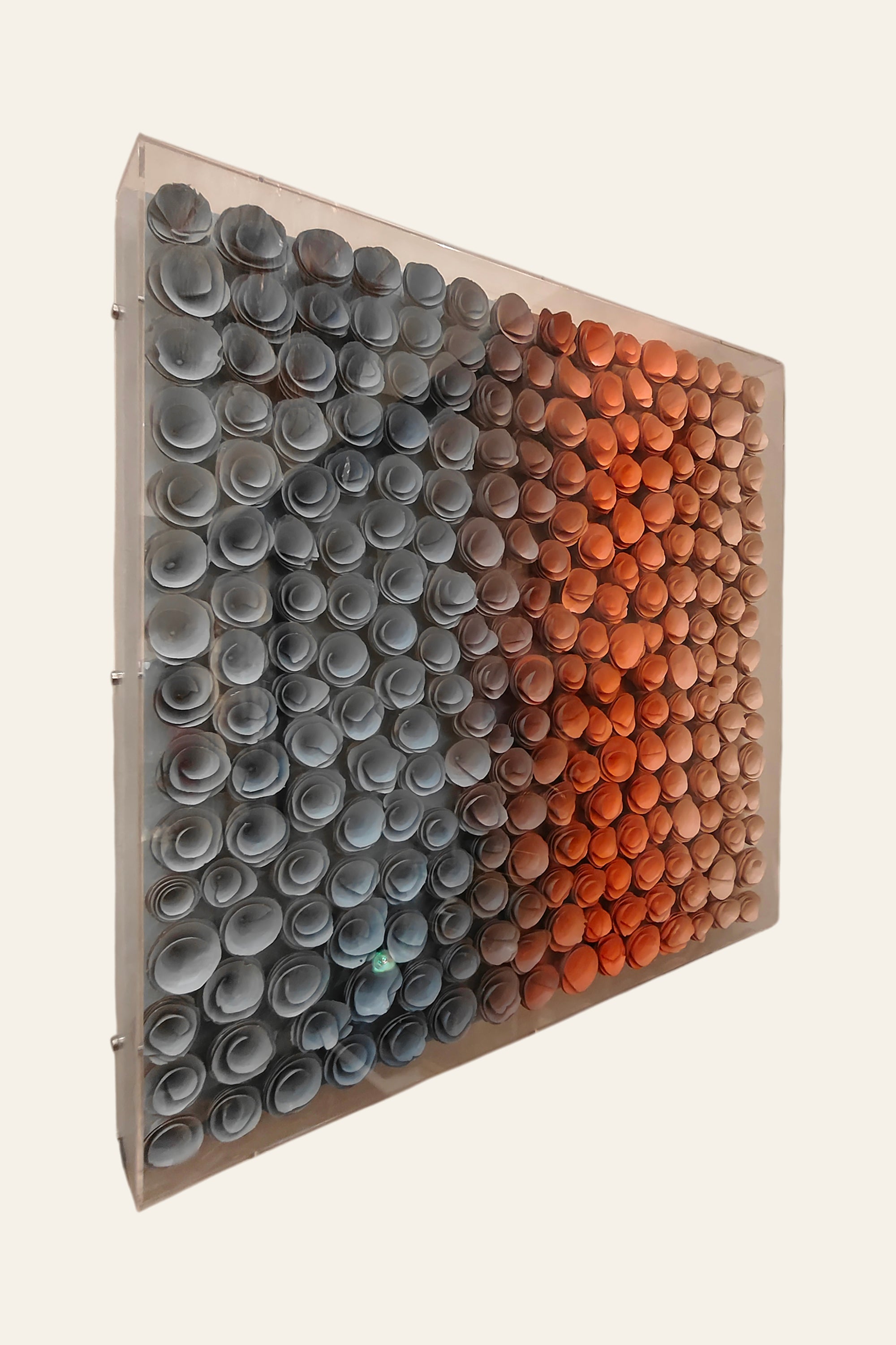 Modern Floral Motif Gradient Wall Art