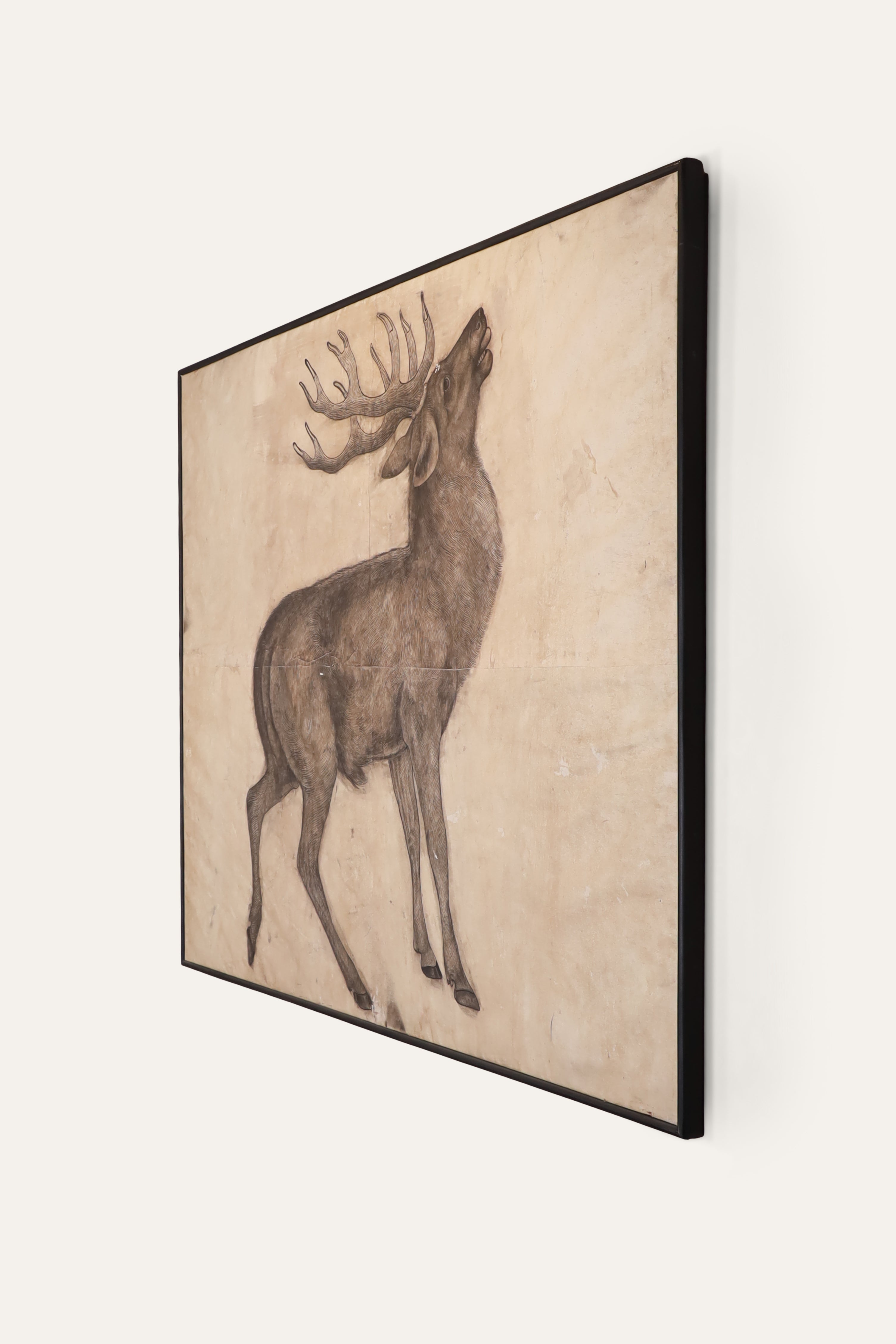 Stag Wildlife Wall Sketch for Home Libraries & Office Spaces