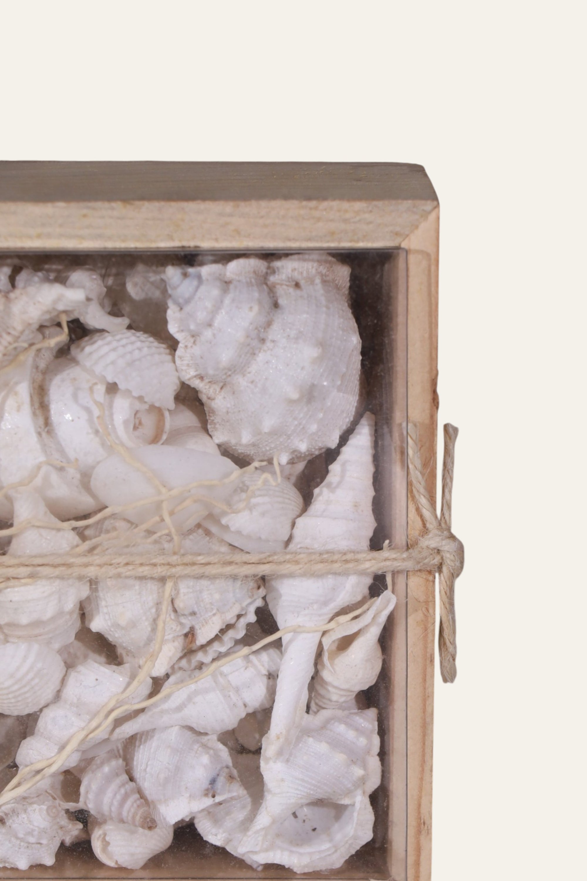 White Shell Box for Coastal Wall & Shelf Decor