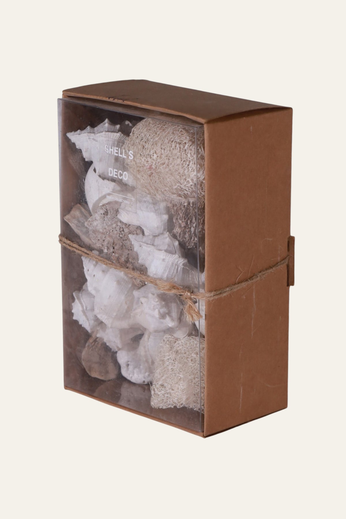 Mixed Seashell Box for Coastal Living Room & Hallway Decor