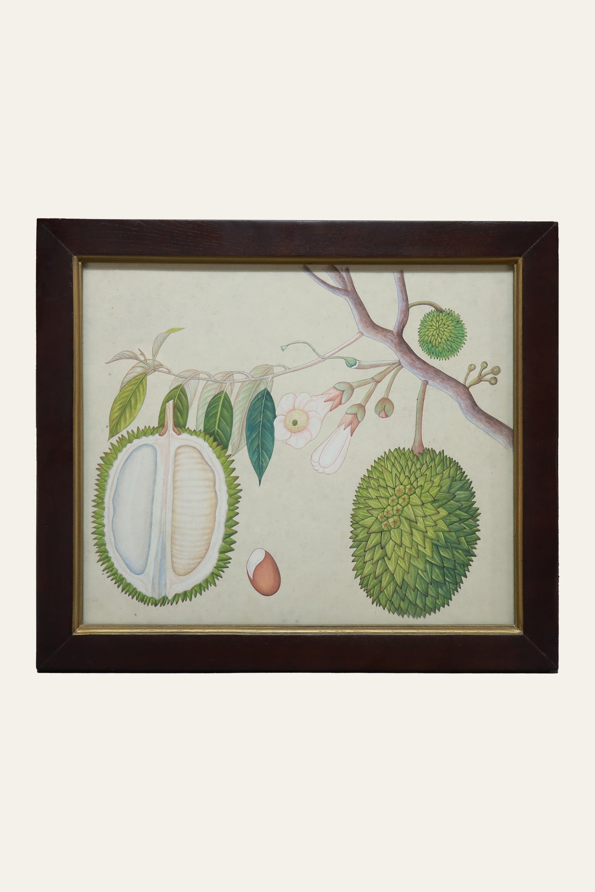 Hanging Jackfruit on Tree Watercolor Painting for Kids' Study Rooms