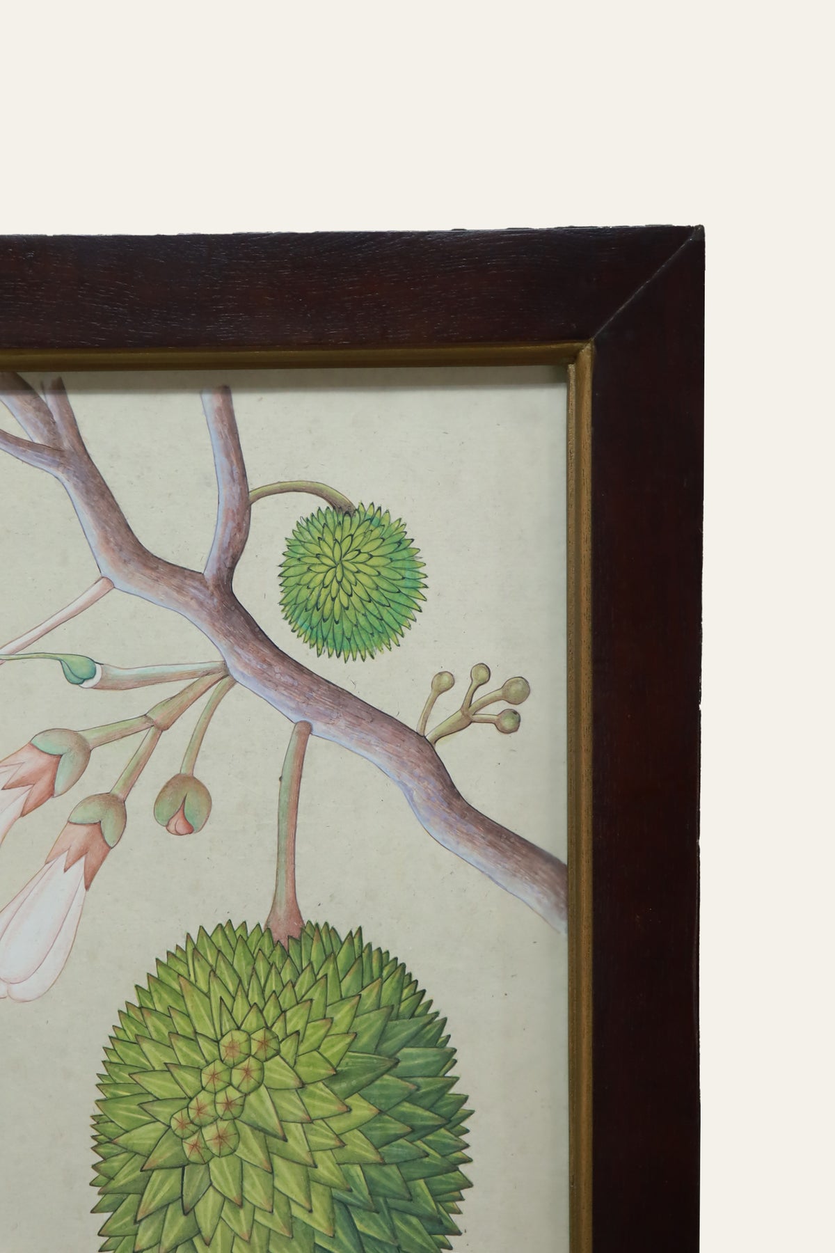 Hanging Jackfruit on Tree Watercolor Painting for Kids' Study Rooms