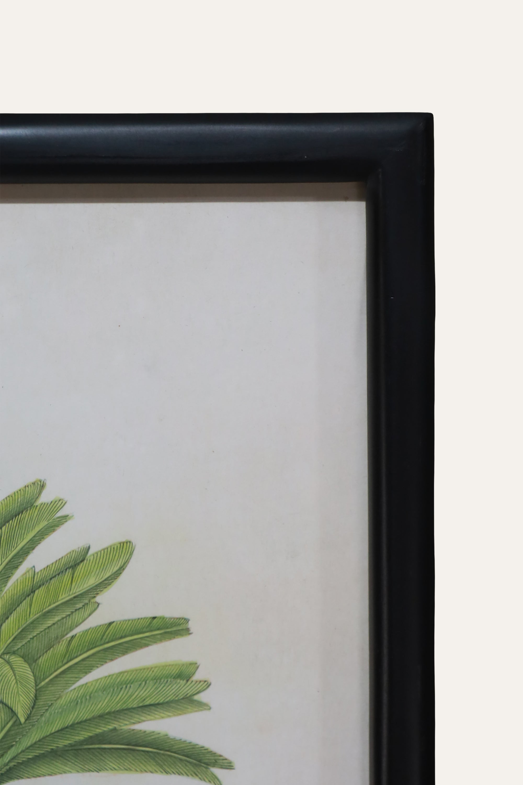 Tropical Palm Landscape Art for Hallway & Reading Corner Decor
