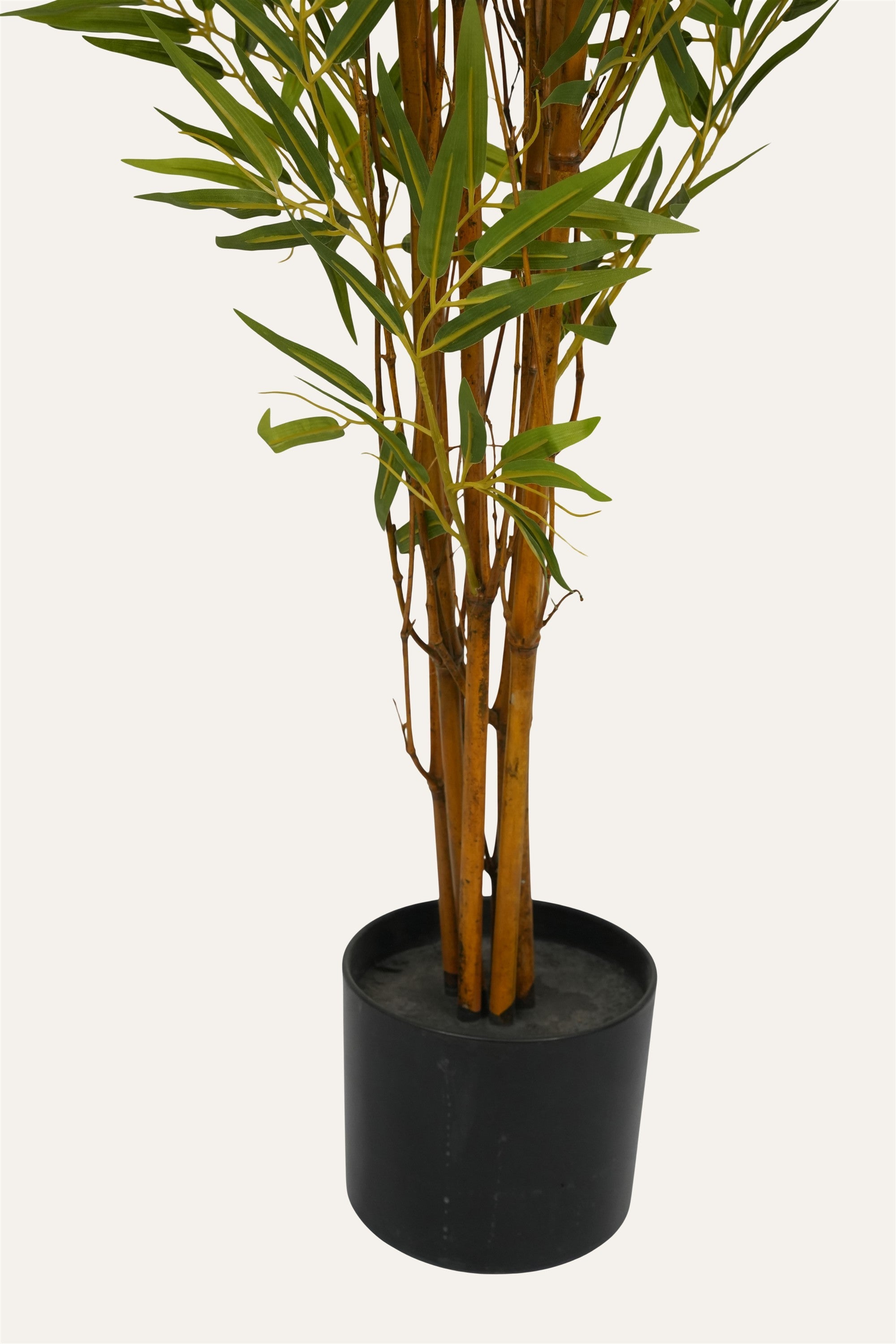 Indoor bamboo greenery décor