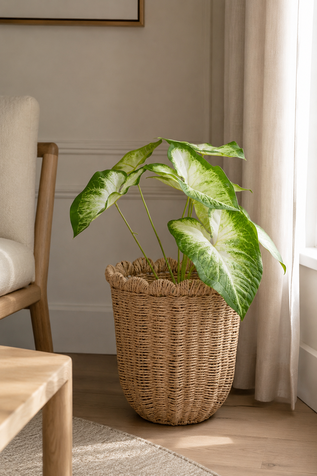 Large Woven Planter - Scalloped Rim Decorative Basket