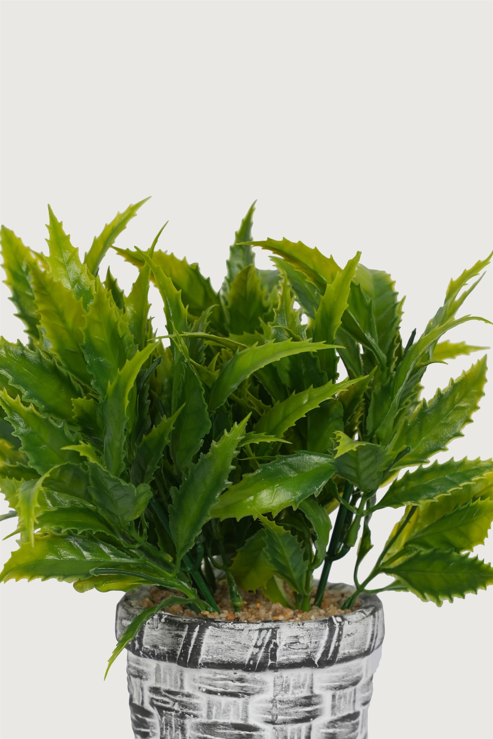 Living room greenery arrangement