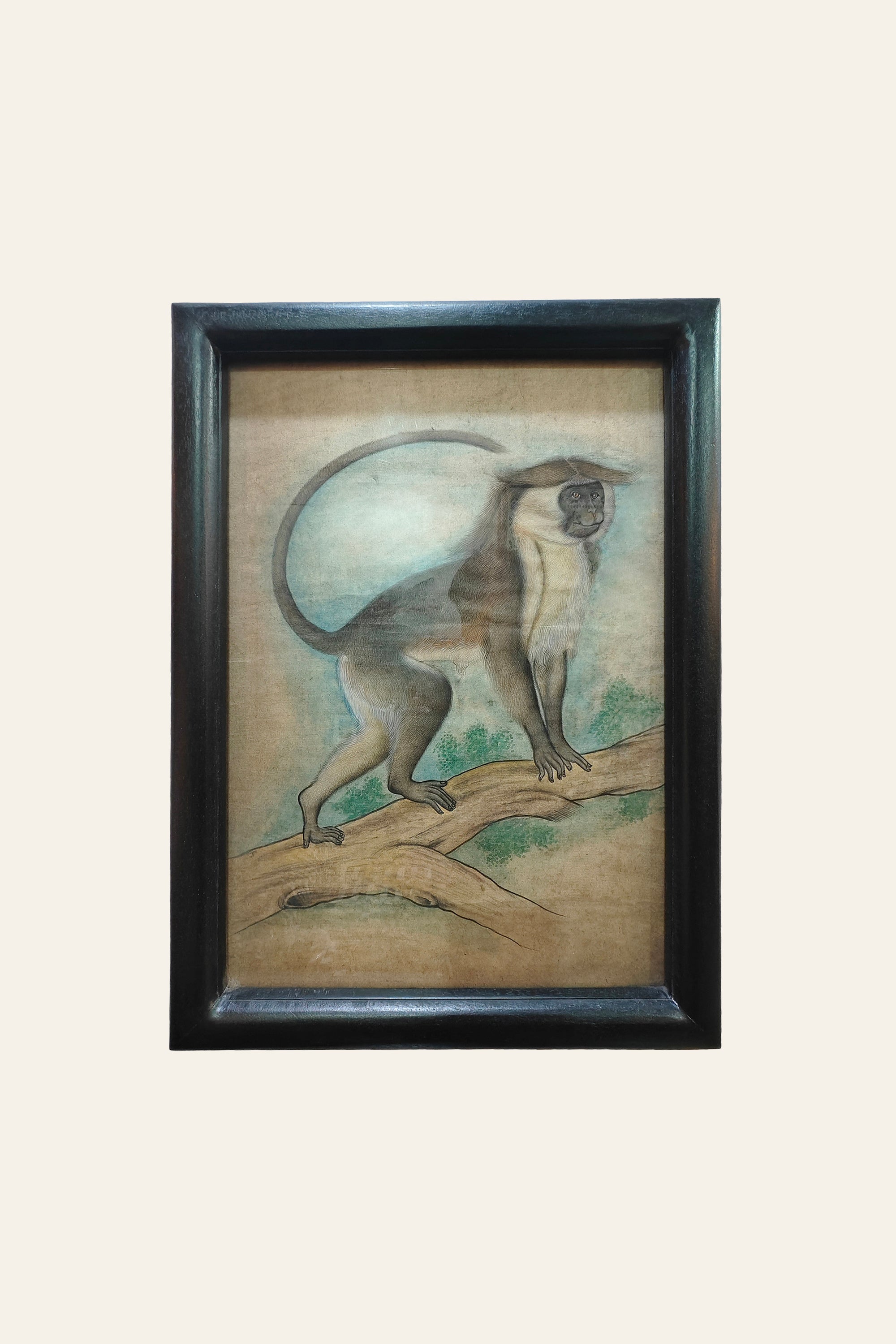 Luxury monkey wall art in black frame