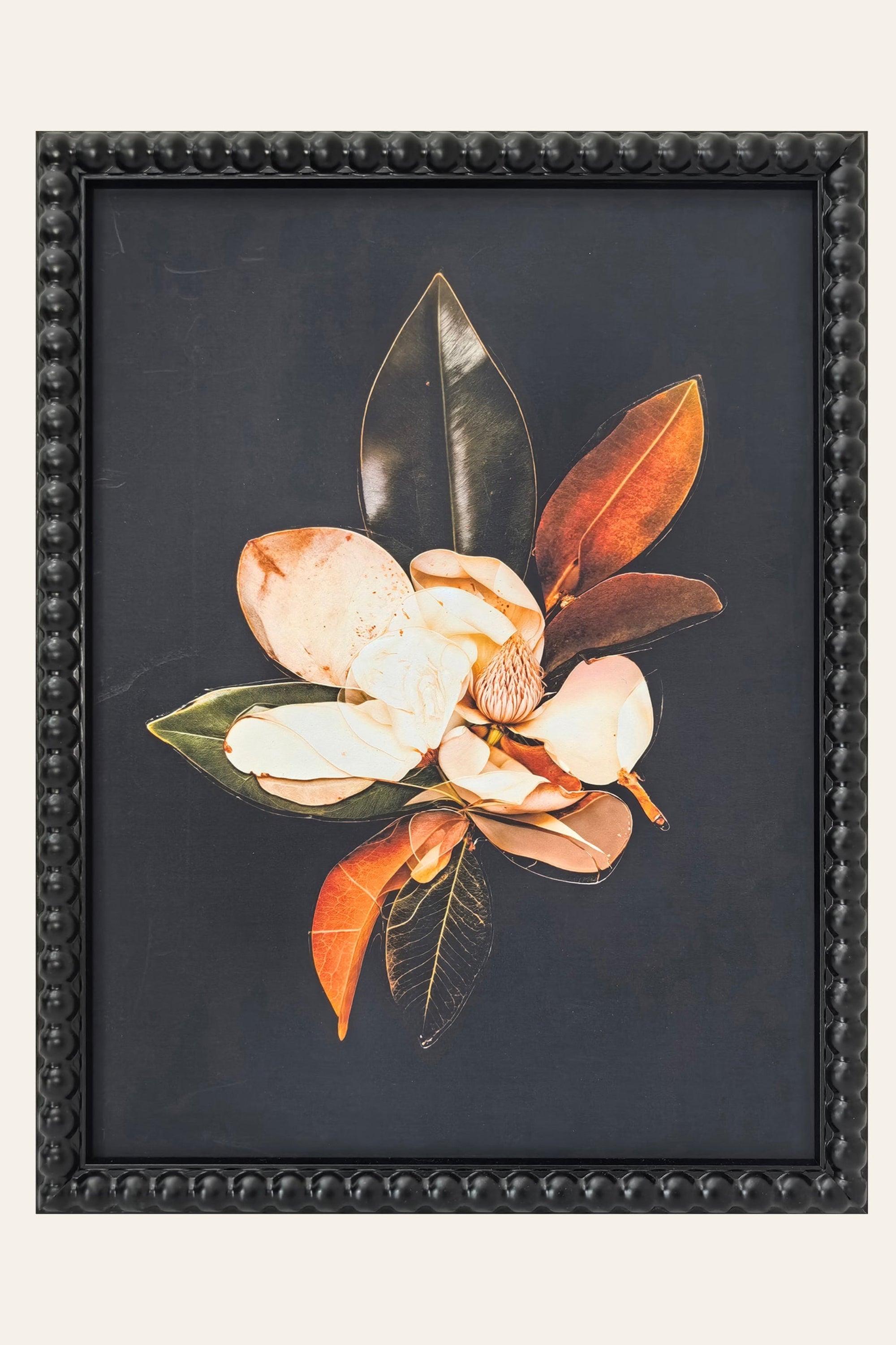 Magnolia Bloom Botanical Print Wall Art