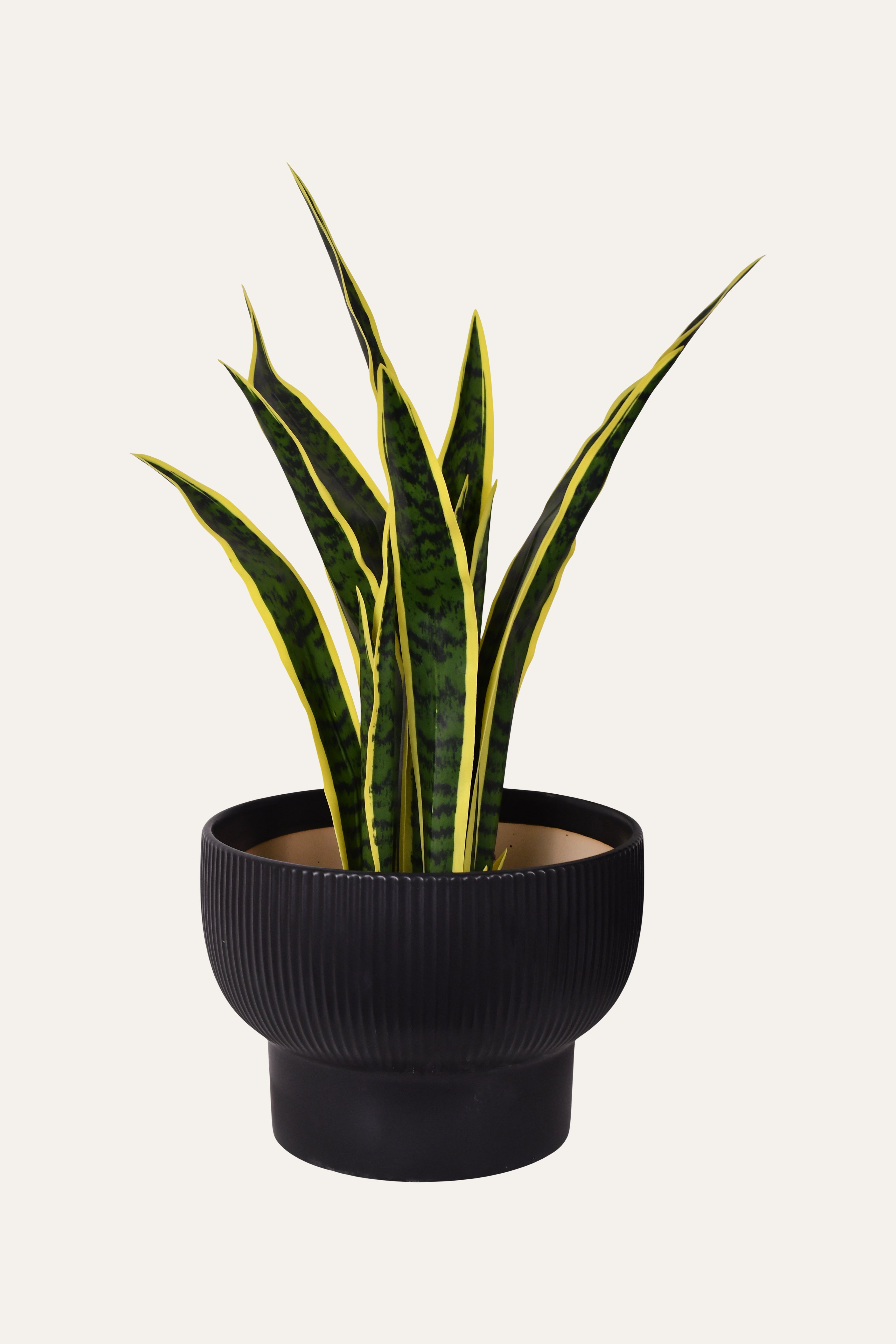 Matte Black Ribbed Ceramic Planter