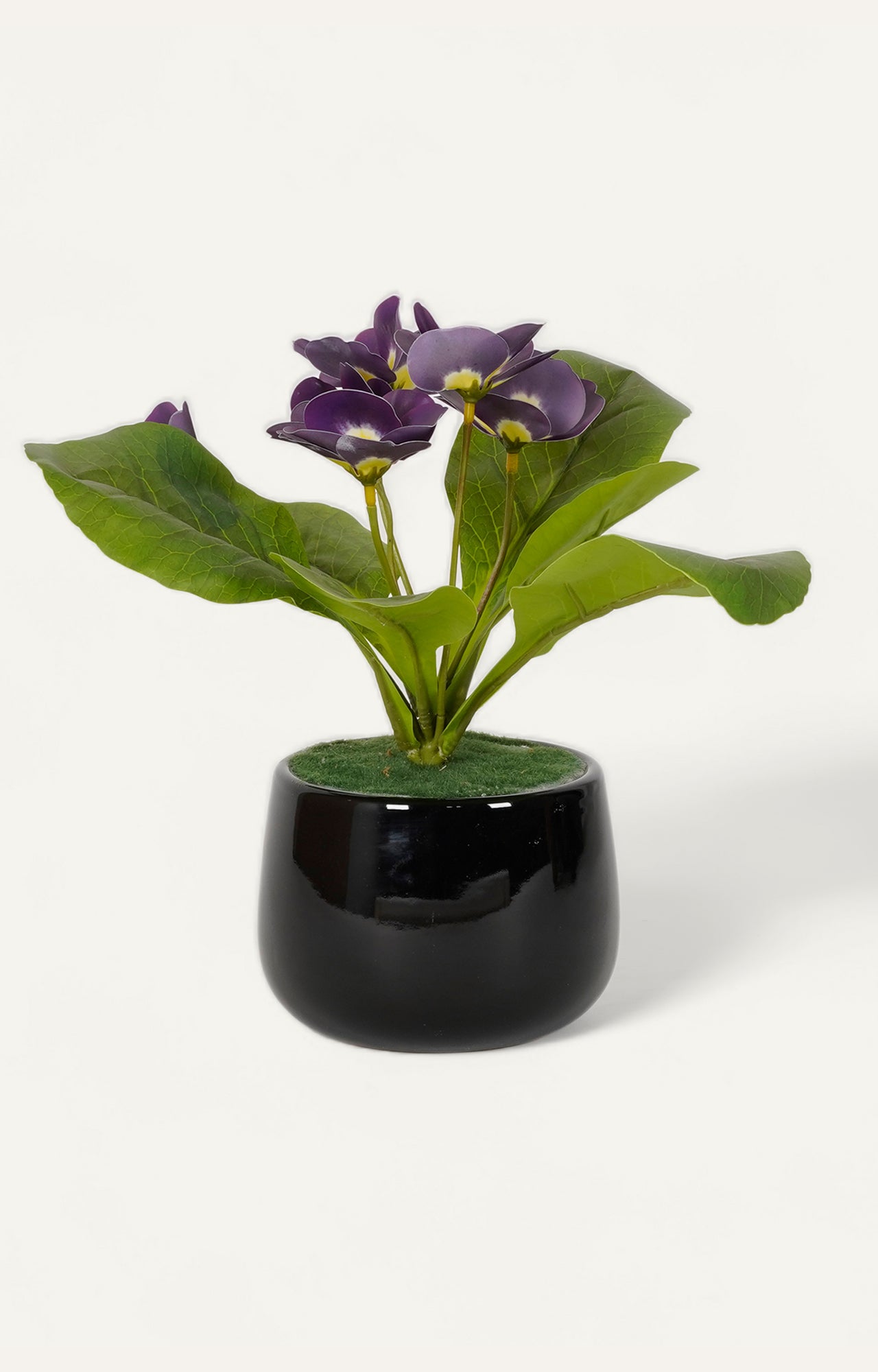 Minimalist Black Ceramic gloss finish Vase with Pampas Grass - main