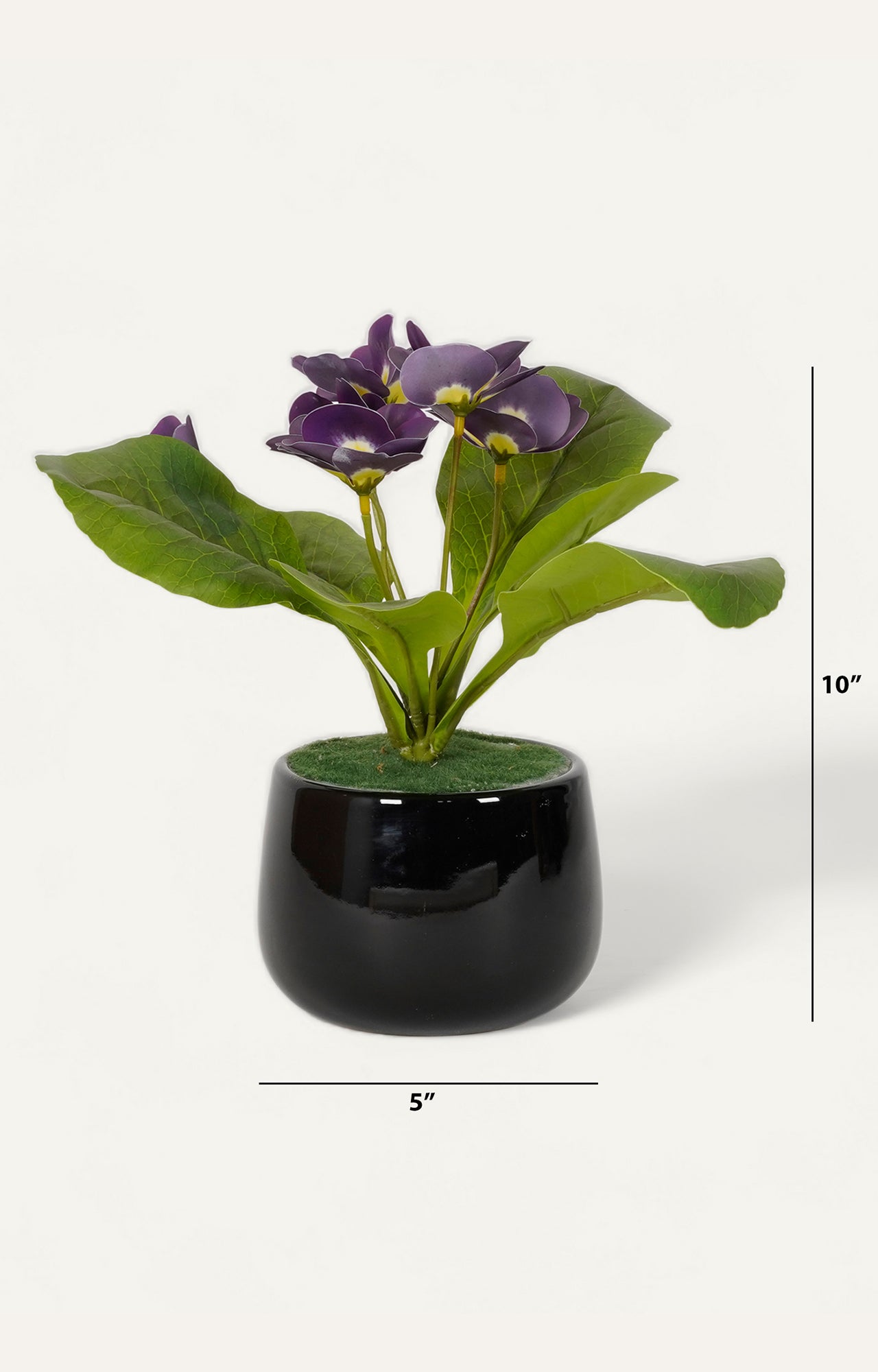 Minimalist Black Ceramic gloss finish Vase with Pampas Grass_size