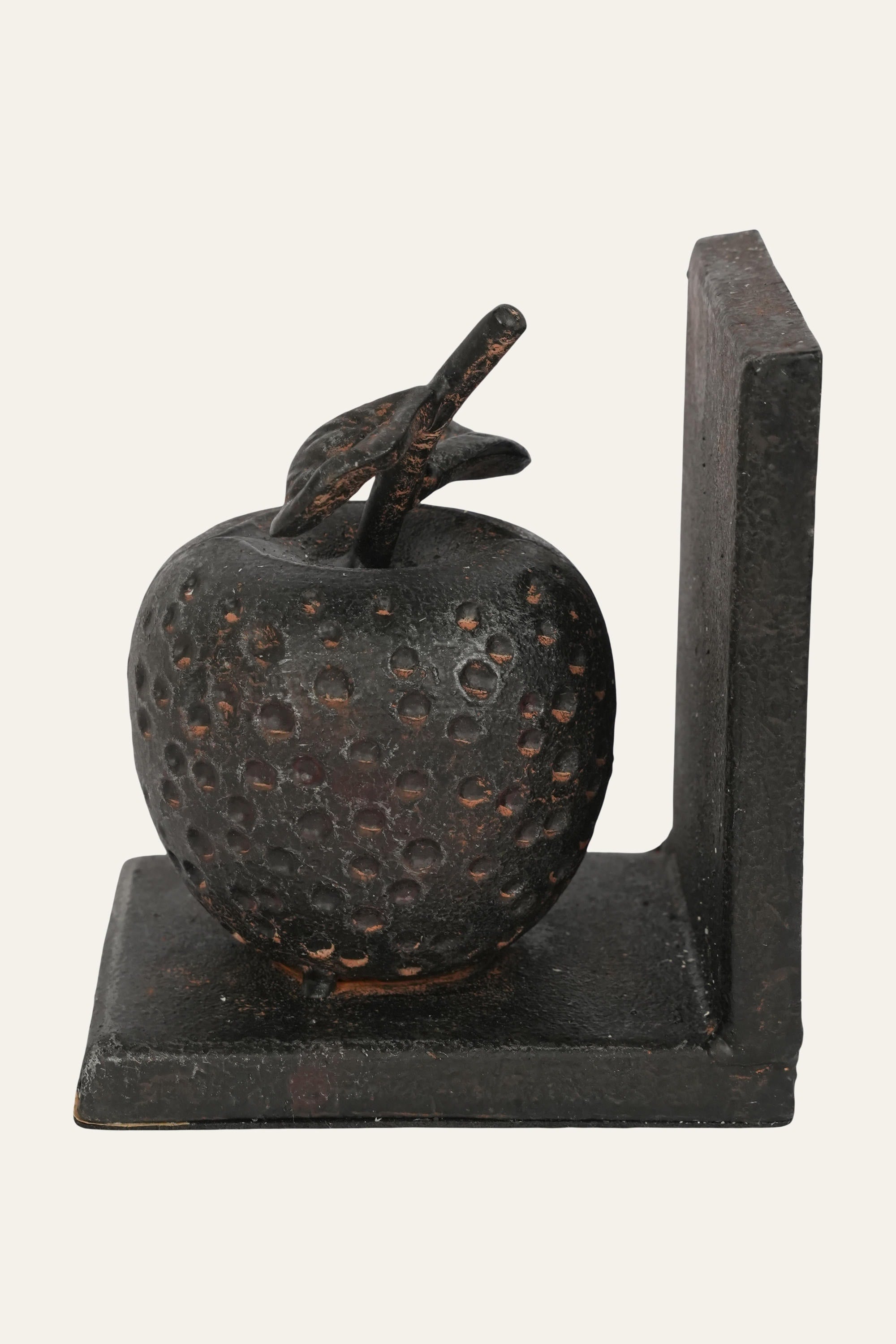 Modern fruit inspired metal book holder