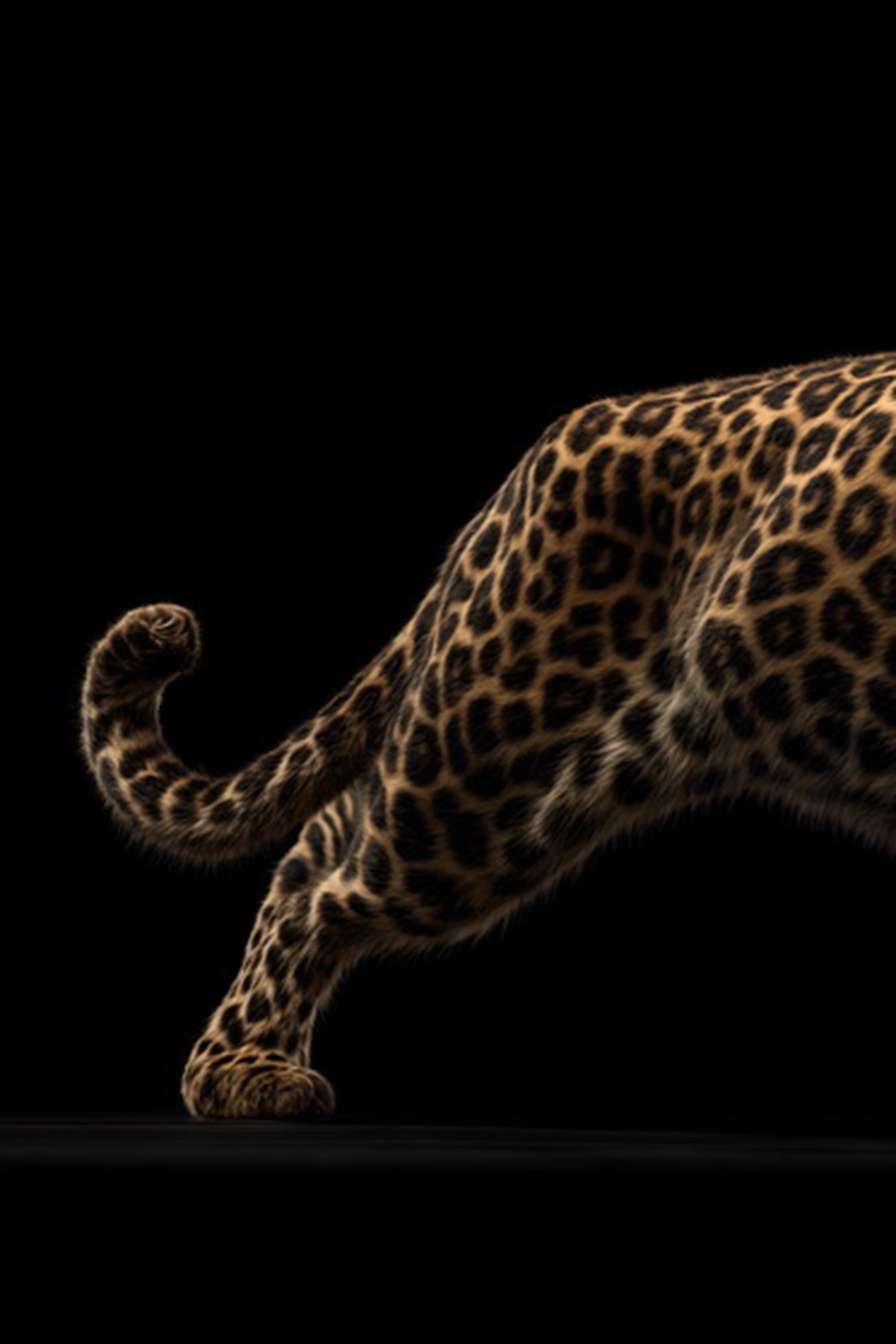 Modern leopard glass painting for office interiors