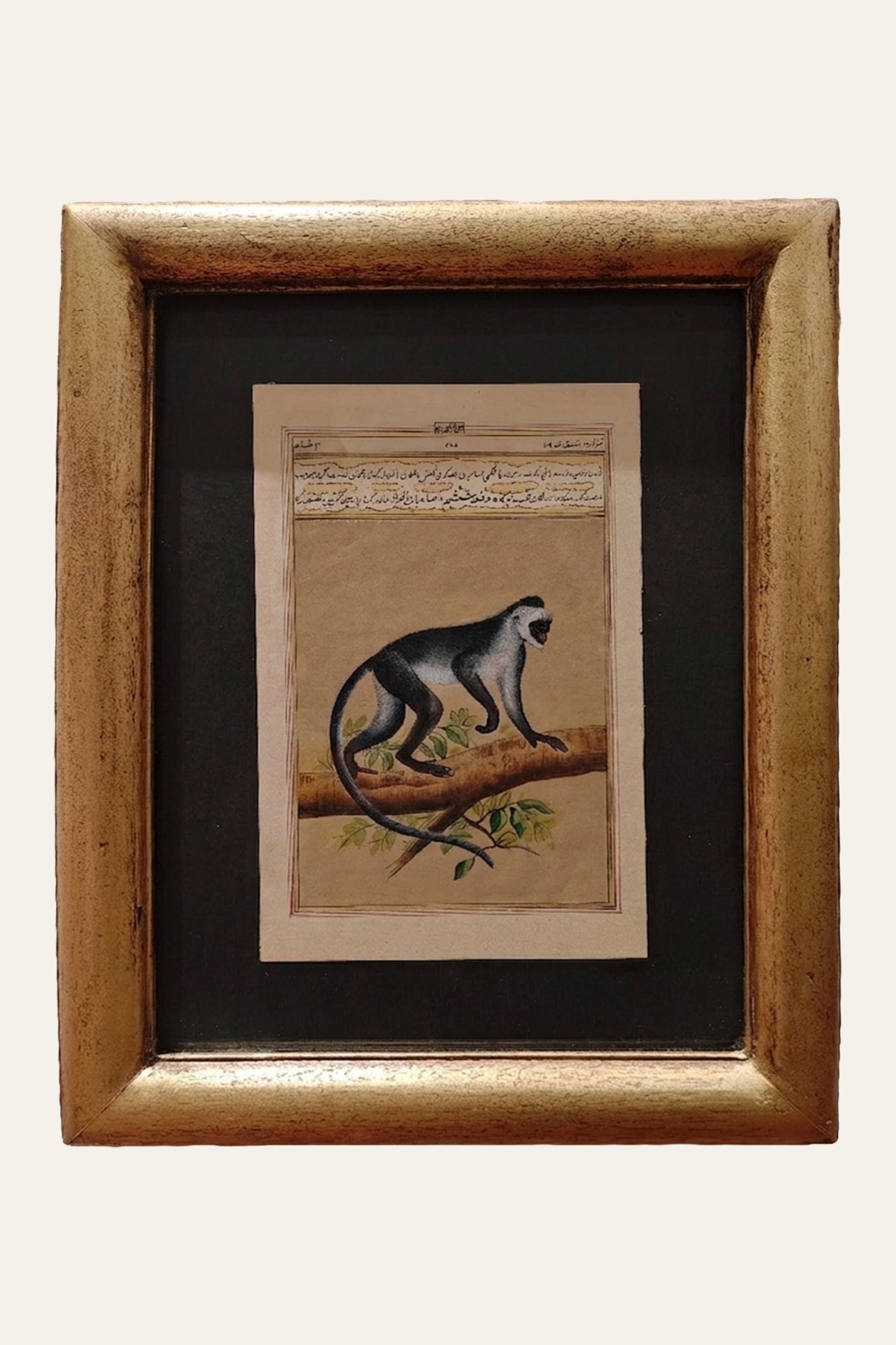 Monkey Miniature Painting