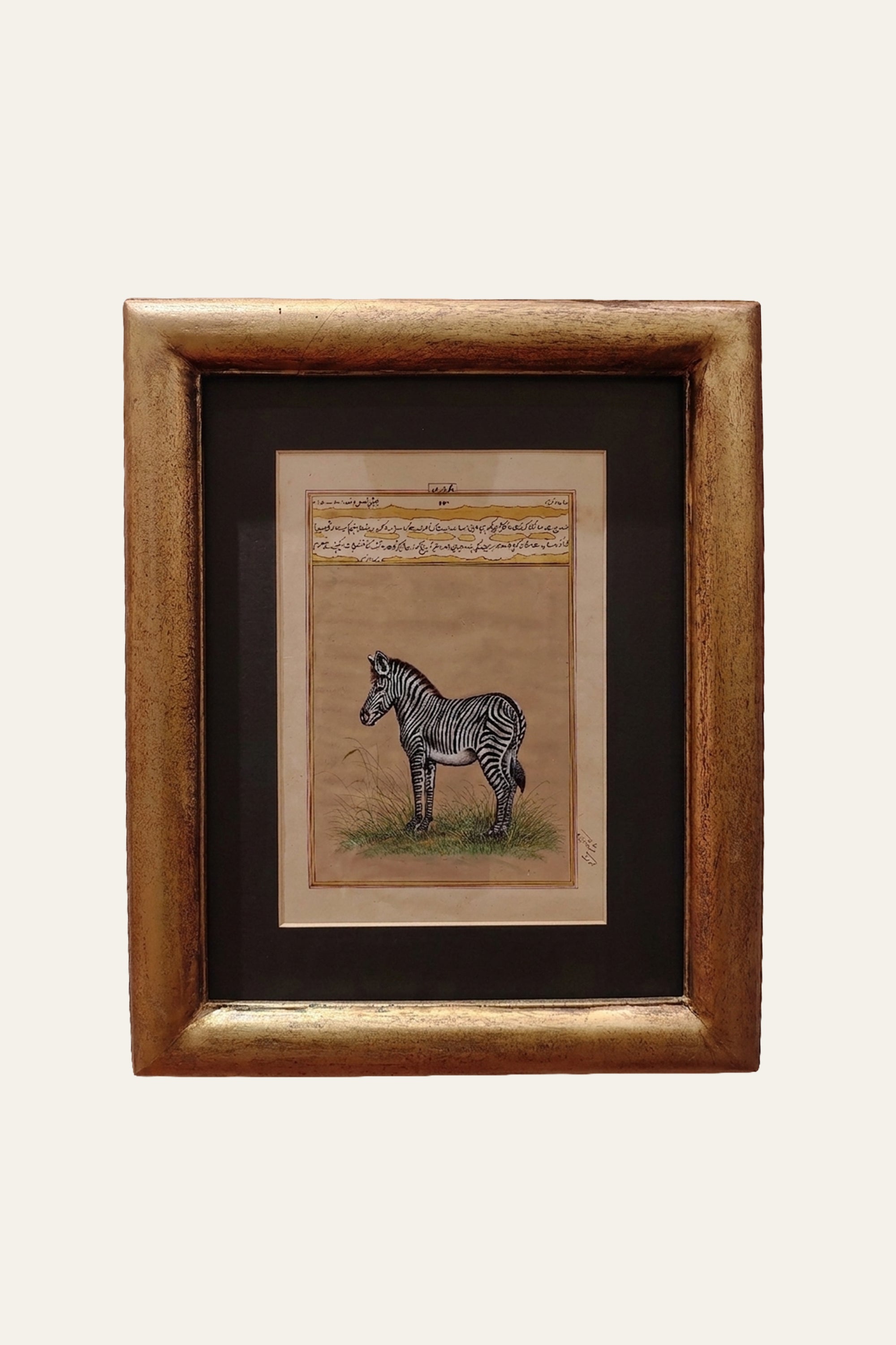 Mughal Miniature Zebra Painting