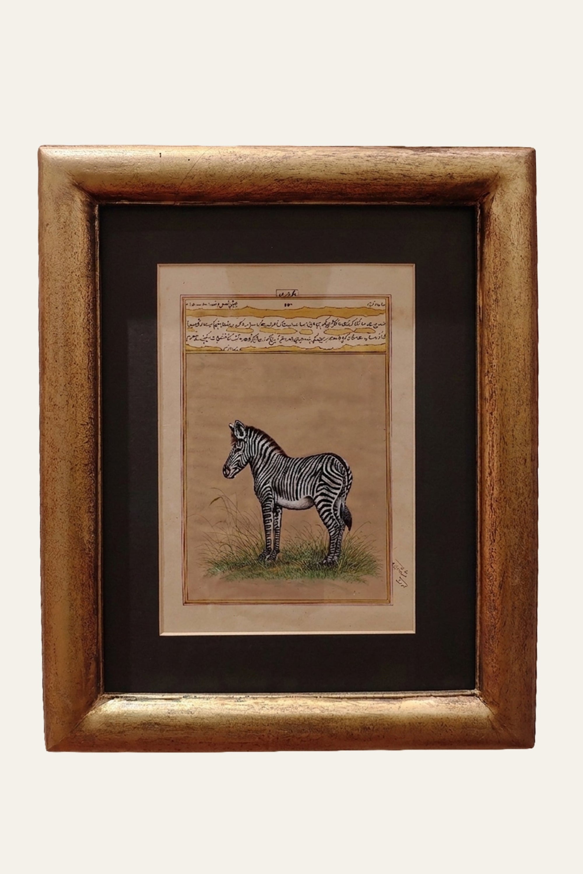 Mughal Miniature Zebra Painting