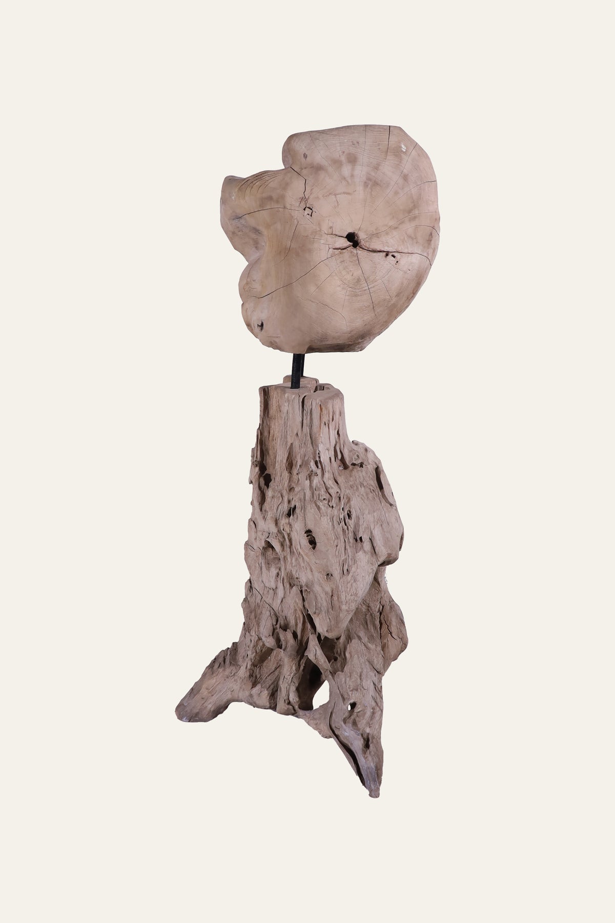 Natural root wood display stand