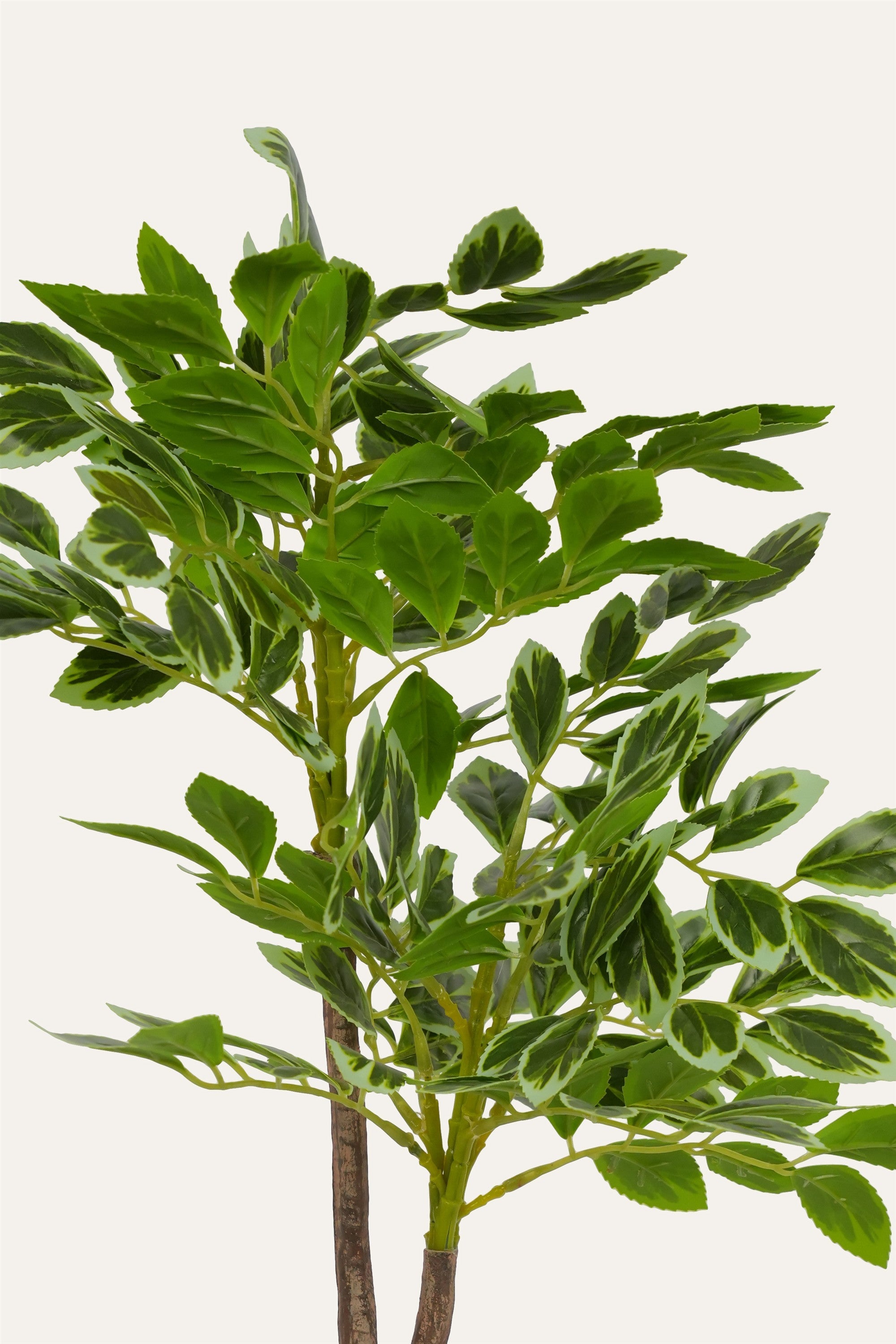 Office décor artificial ficus