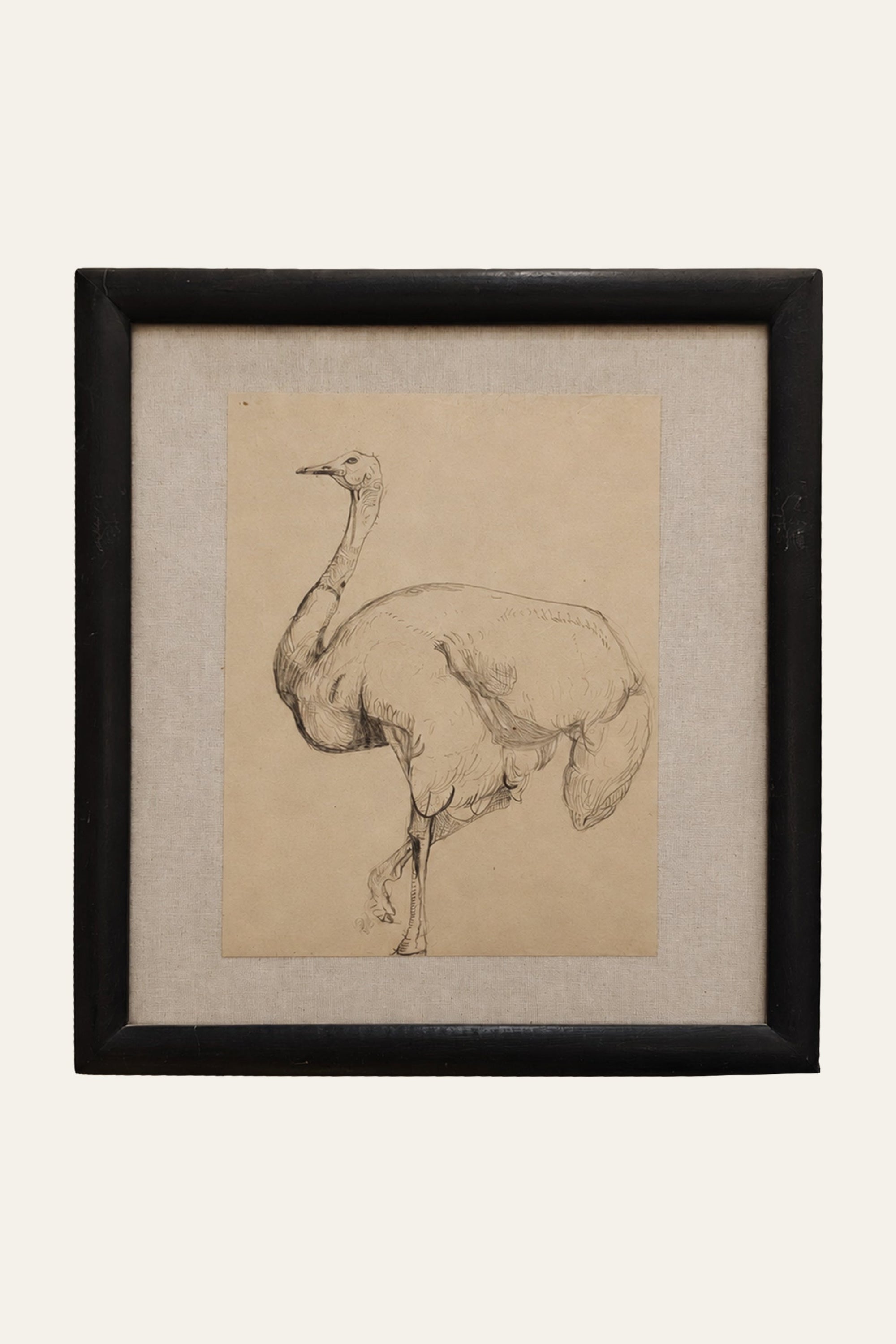 Ostrich Miniature Painting