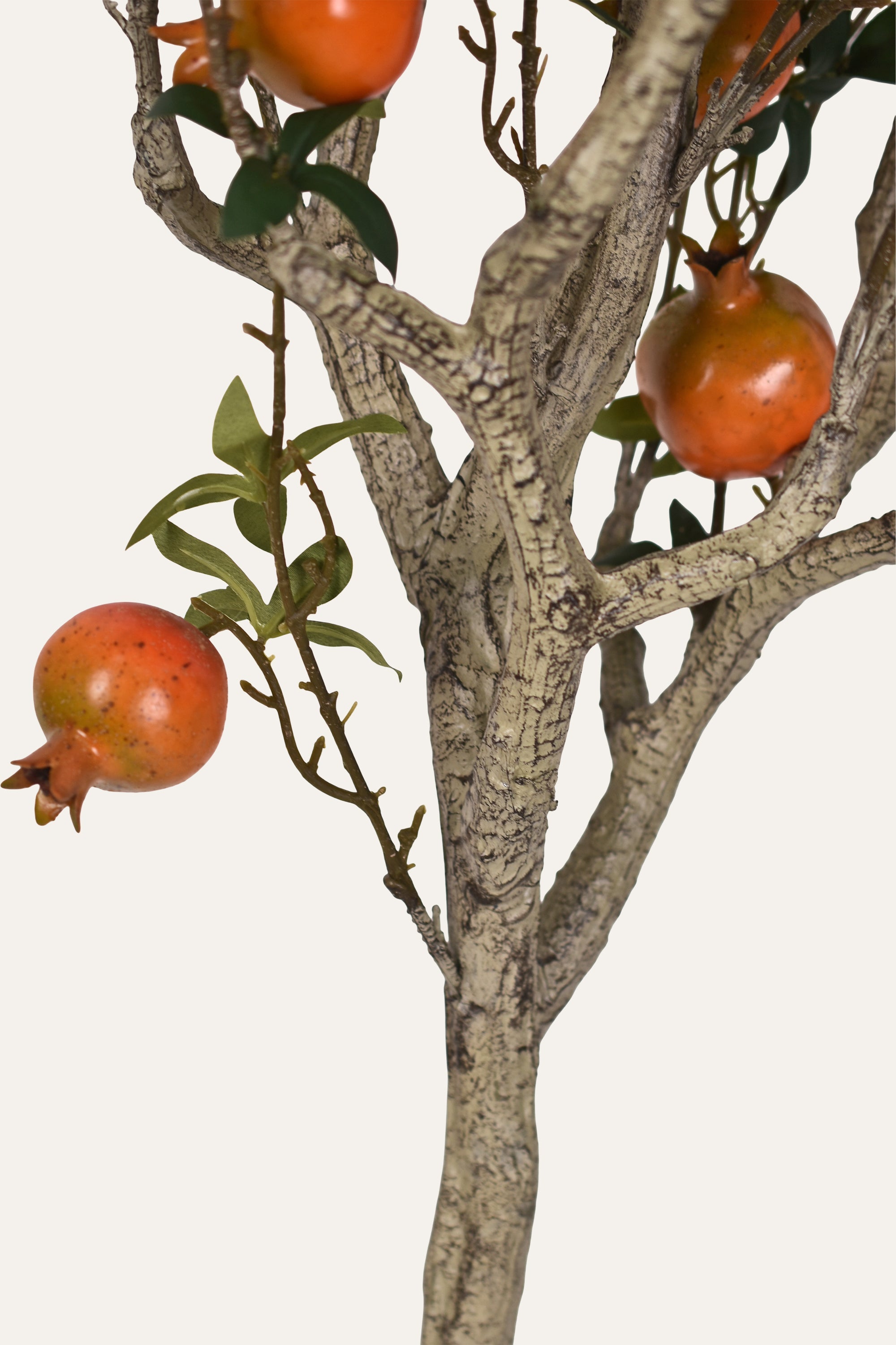 Decorative Artificial Pomelo Plant